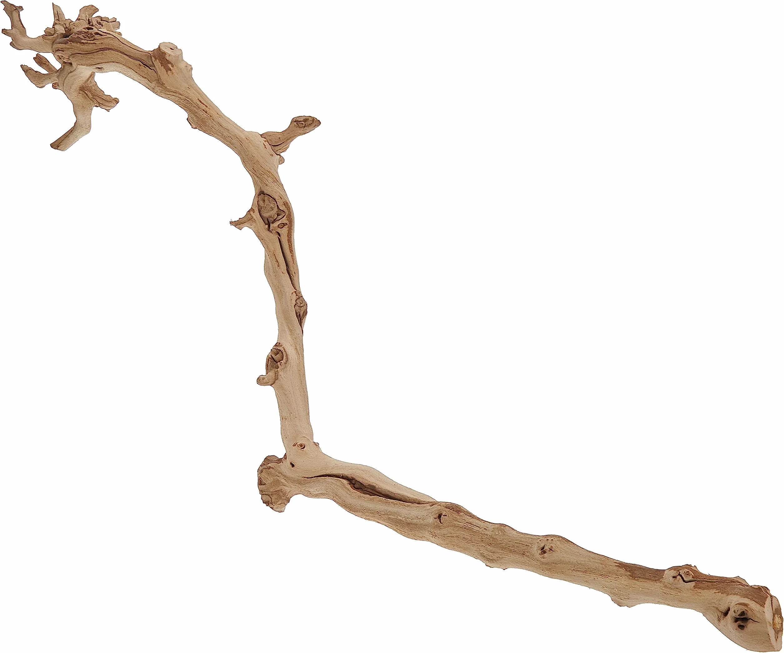 Exo Terra Branche de forêt Taille L