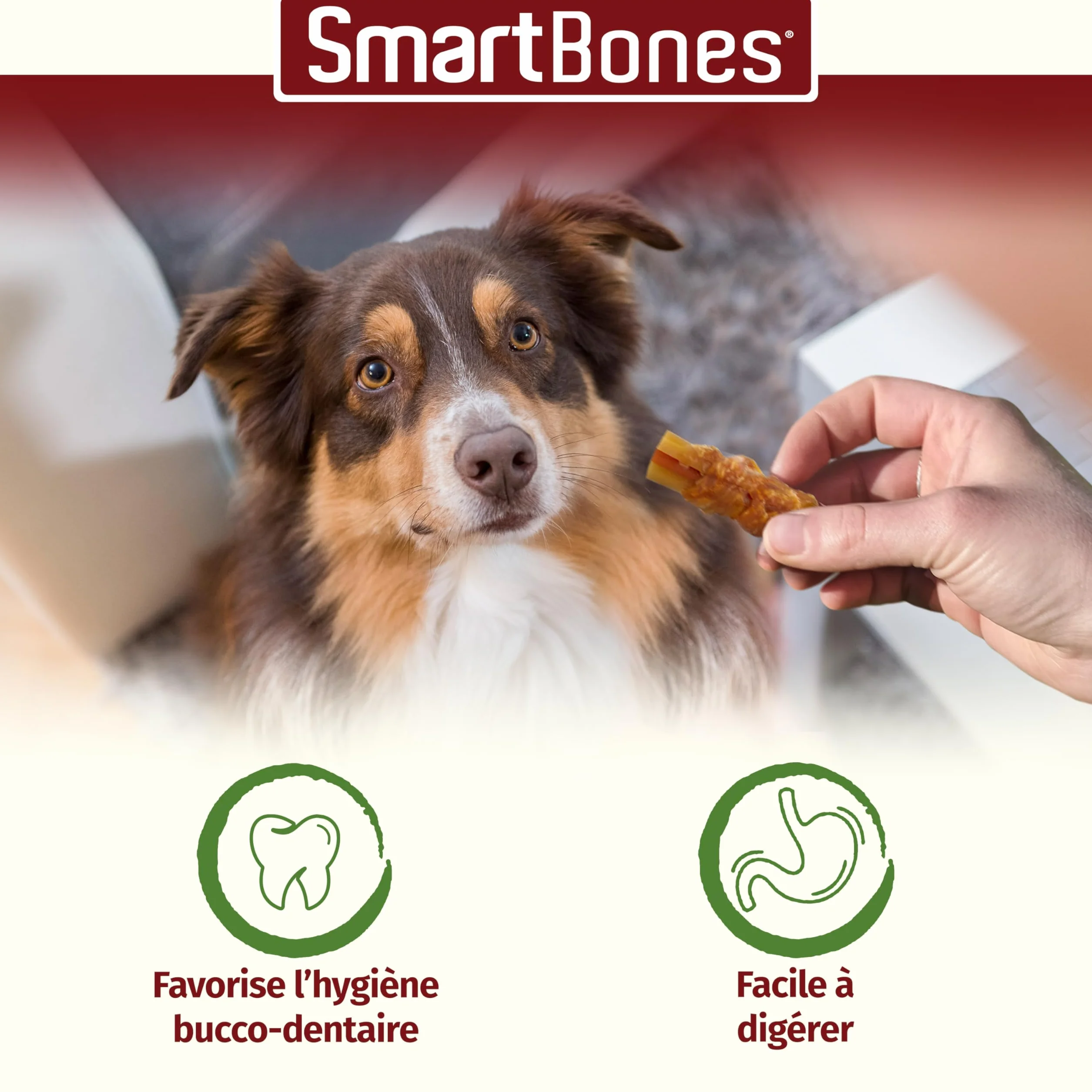 SmartBones Bâtonnets à Mâcher au Poulet pour Chien Adulte Petite Taille - 9 Pièces Sans Peau, Faible en Matières Grasses, Enrichi en Vitamines et Minéraux