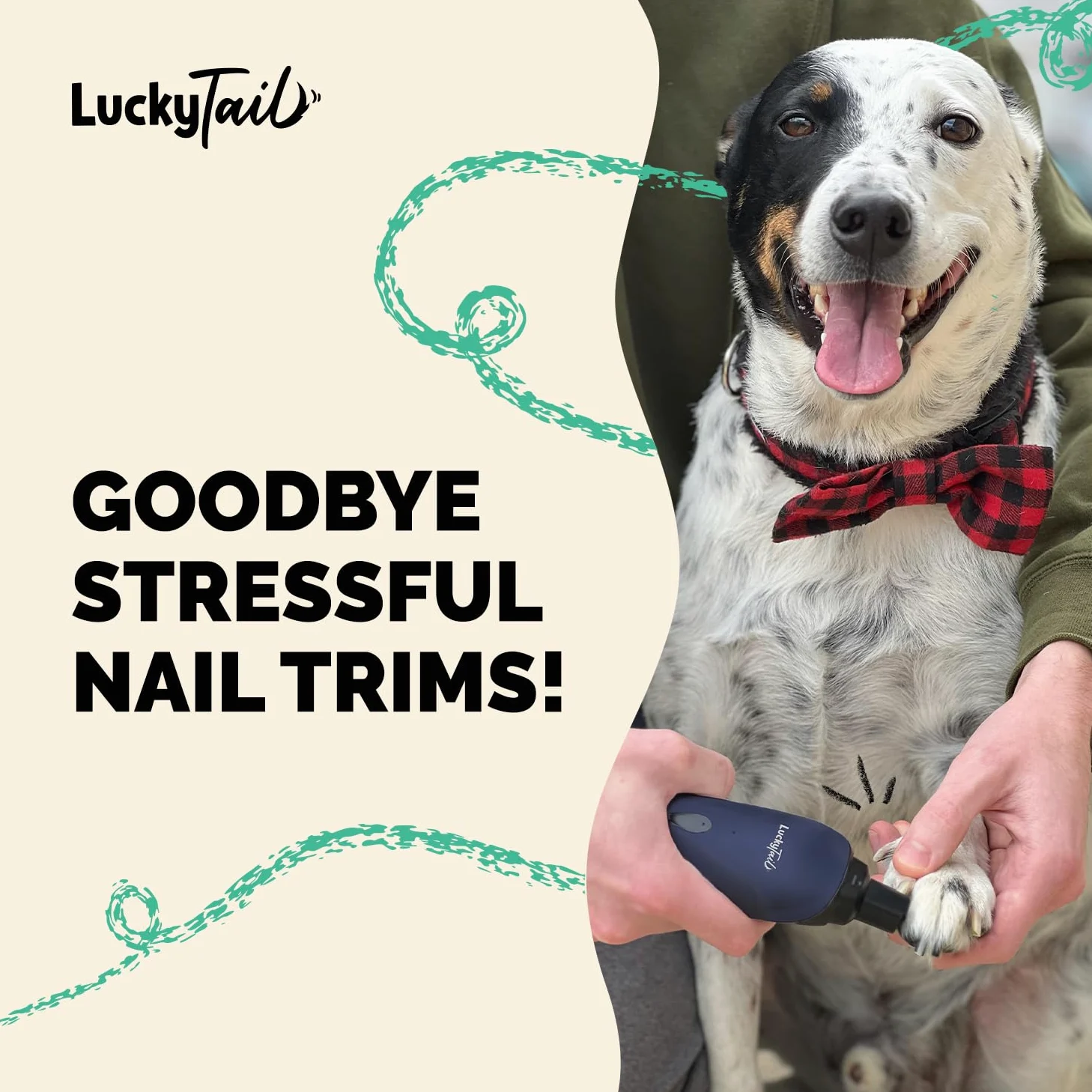 LuckyTail Meuleuse à Ongles pour Chien Chat Bleu Foncé