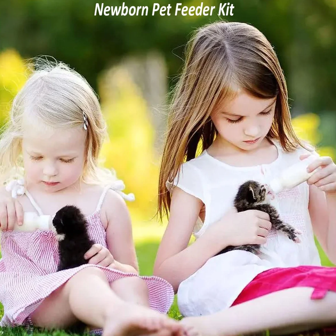 Lot de 24 seringues à tétons pour Animaux domestiques et Sauvages, Chaton biberons d'allaitement