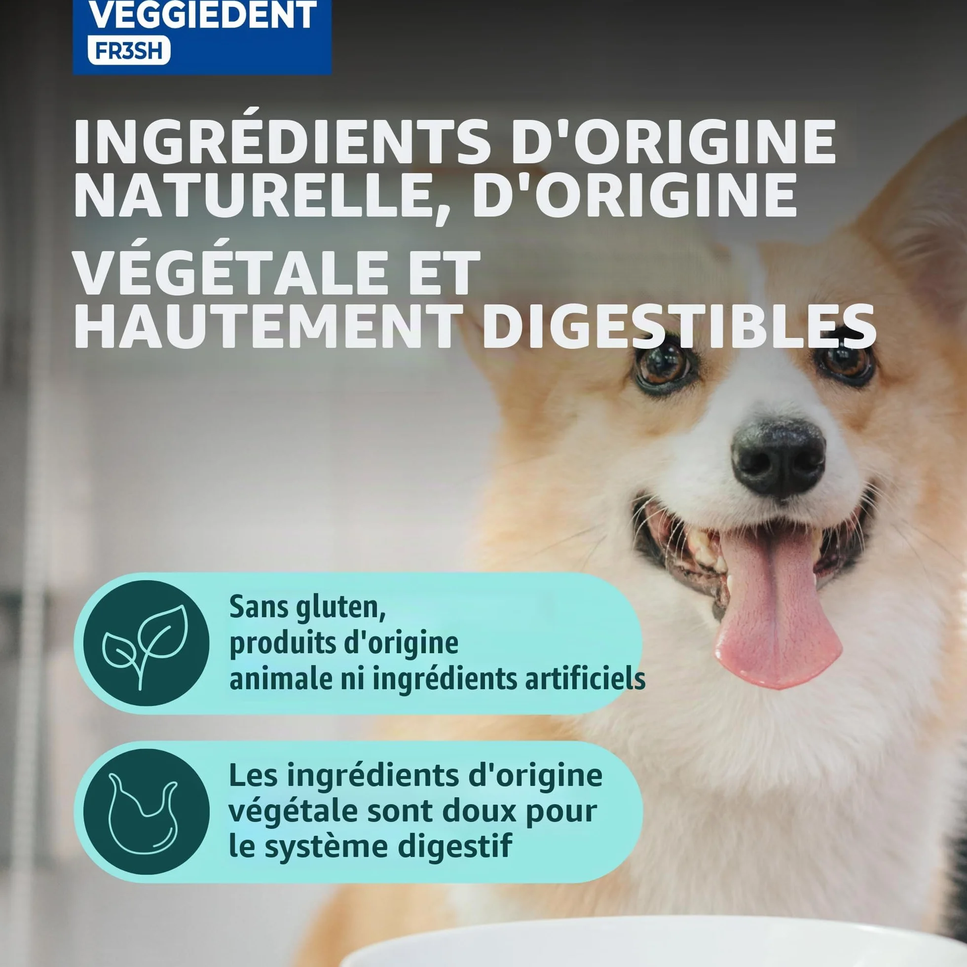 Veggiedent vn100758 bandes de snack fresh XS