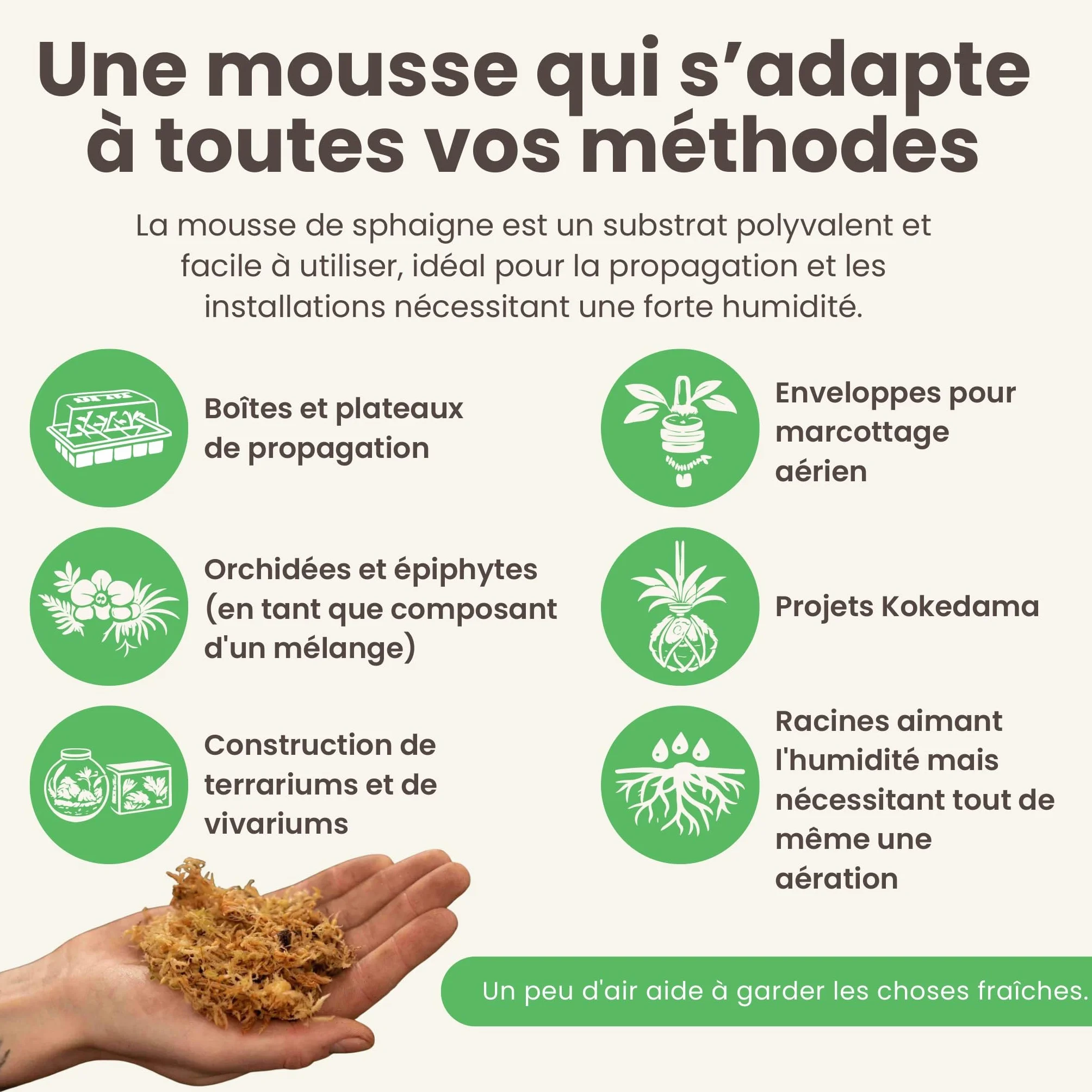 Sybotanica - Sphaigne pour Plante 5L - Sphaigne Vivante pour terreau orchidées, Plante Carnivore, terrariums & Plus - Favorise la Croissance des Racines - Idéal pour Les Amoureux de Plantes