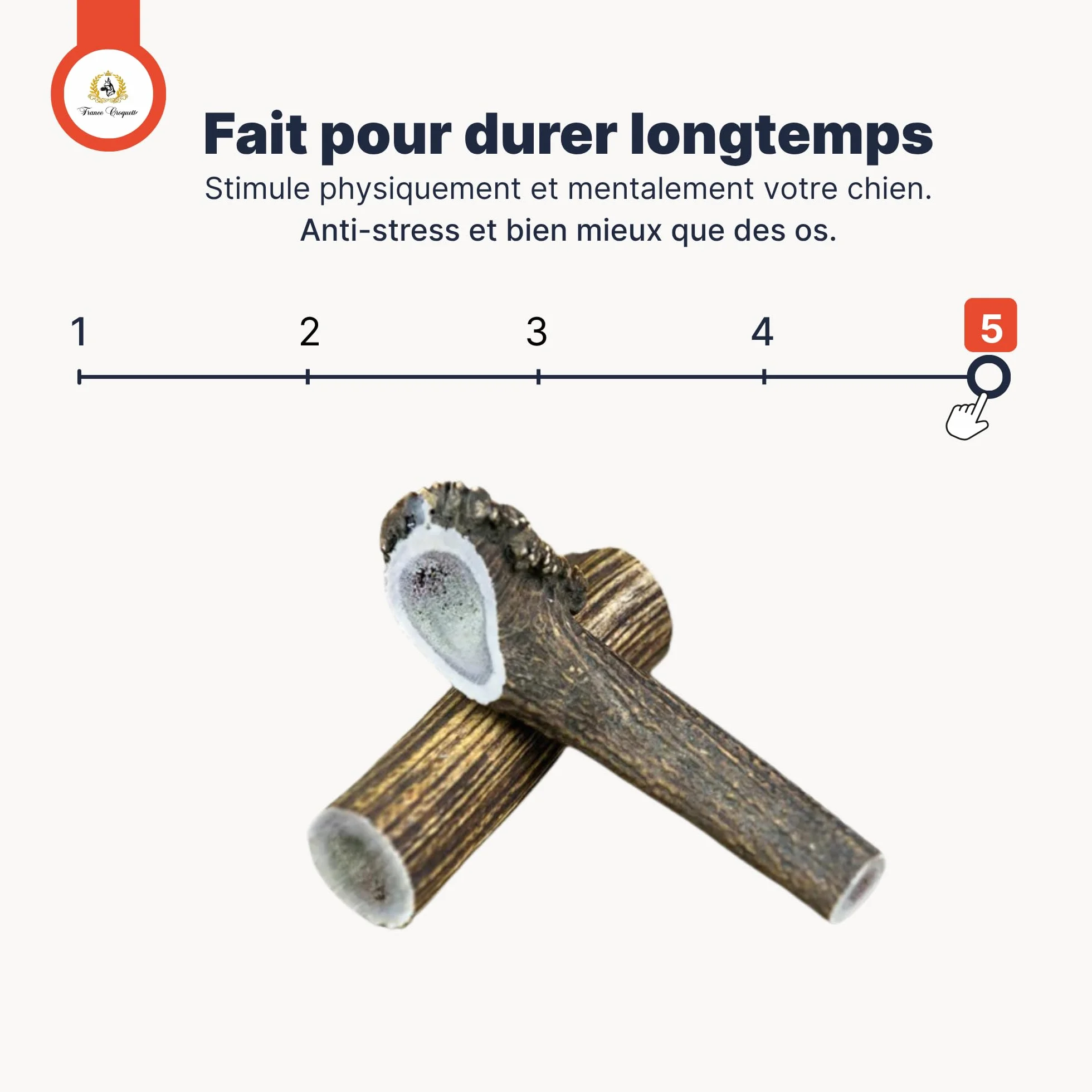 Bois de Cerf M Entier 60-100 g pour Chien Moins de 20 kg, Friandise Naturelle à mâcher Longue Durée