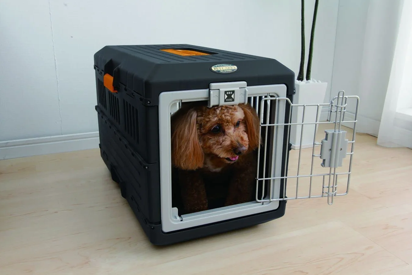 Iris Ohyama FC-550 Cage de Transport pour Chien Chat 2 Portes Plastique PP sans BPA L55 x P31.5 x H36.4 cm Noir