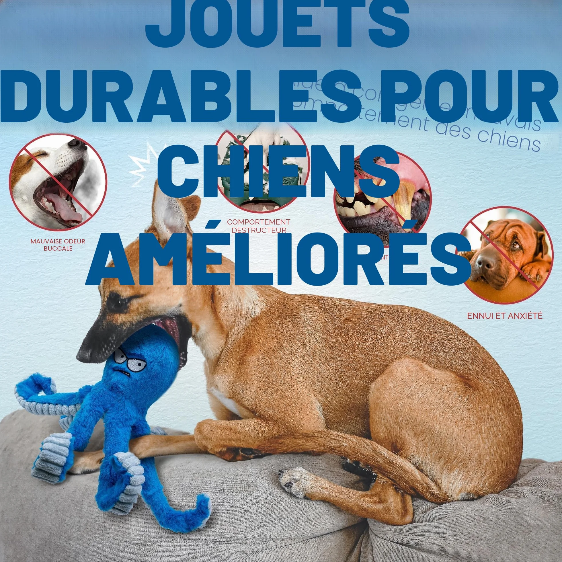 Pieuvre Bleue Jouet à Mâcher pour Chiens de Grande Taille - Jouet Interactif Couineur