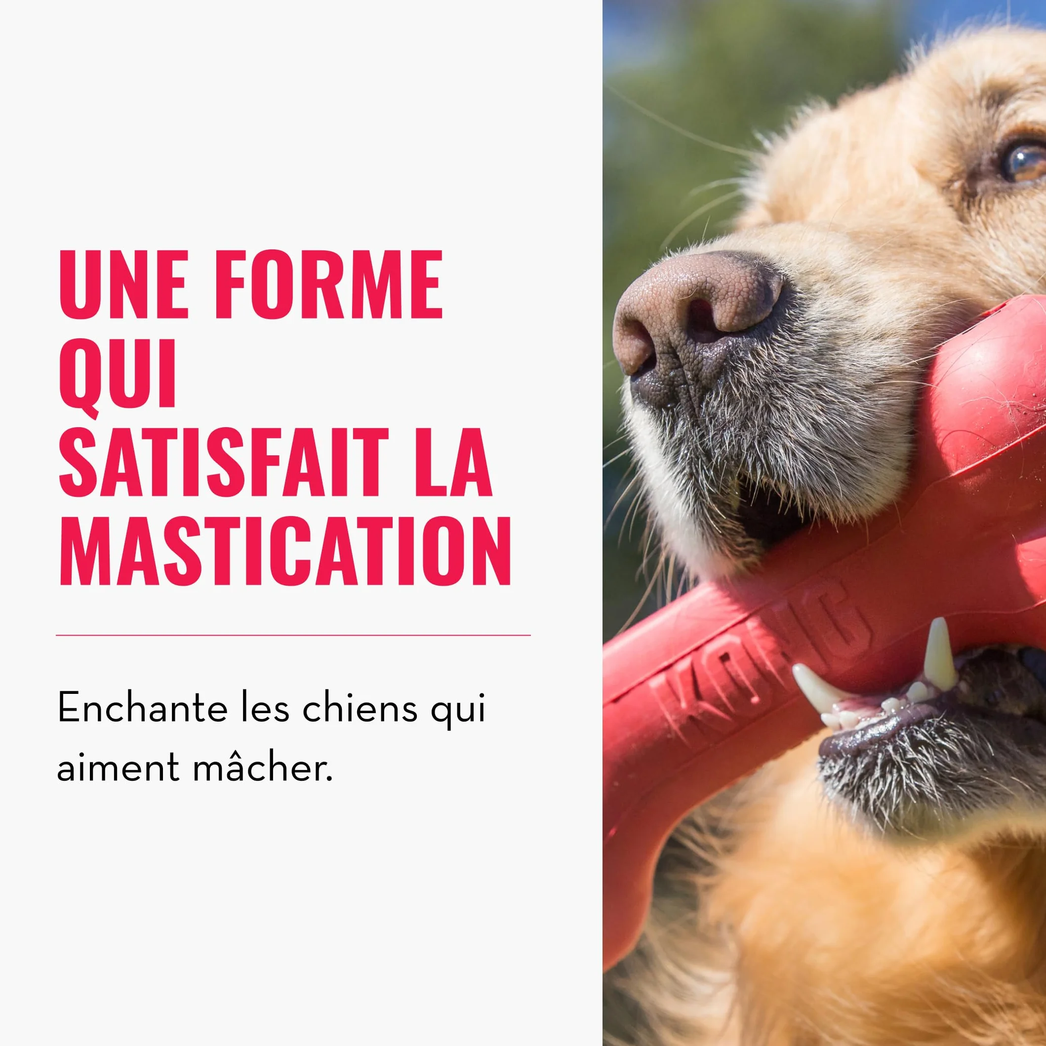KONG Goodie Bone Os Classique en Caoutchouc Naturel Durable pour Chien - Rouge