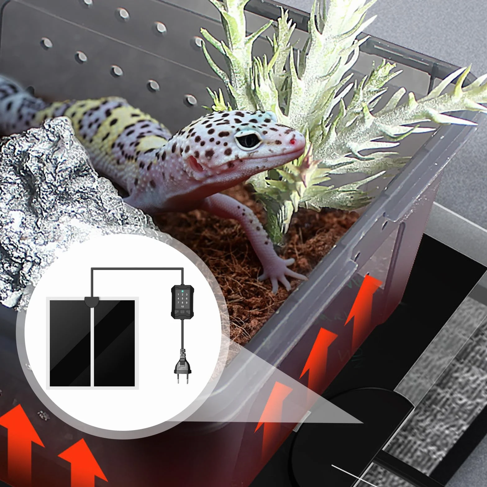Tapis chauffant pour terrarium avec thermostat 10 niveaux 28 x 28 cm étanche protection surchauffe reptiles