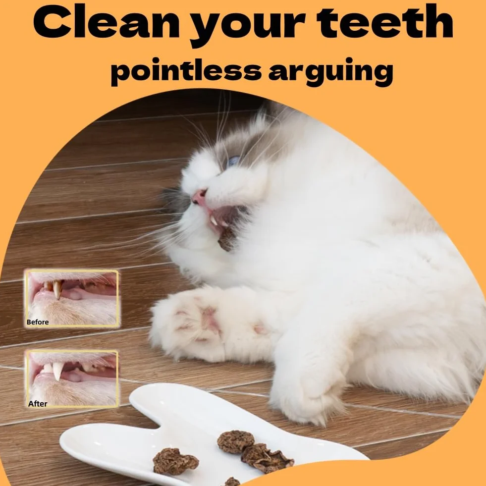 Matatabi Fruits Jouets pour Chat 20pcs