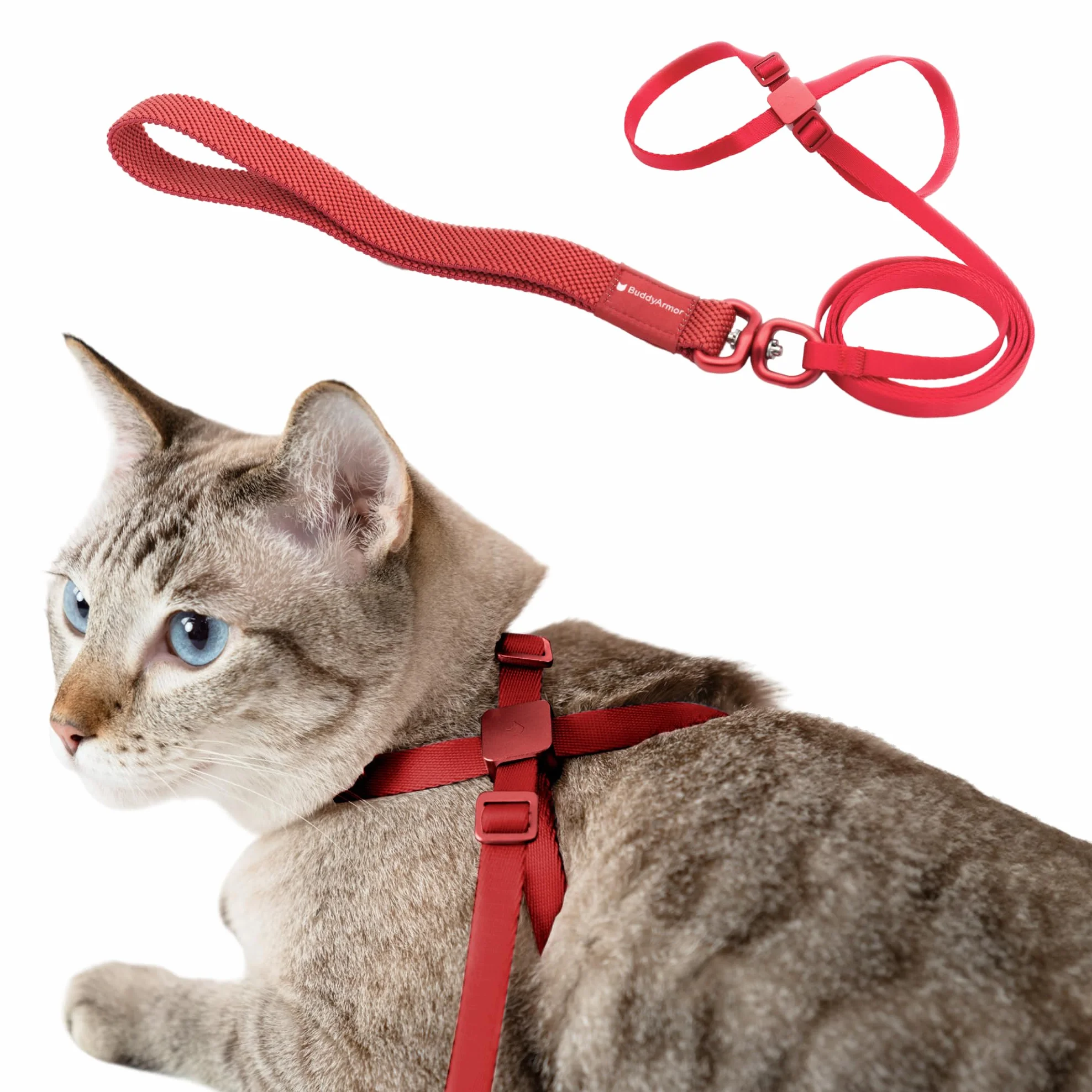 Harnais et laisse pour chat anti-fuite nylon rouge vif
