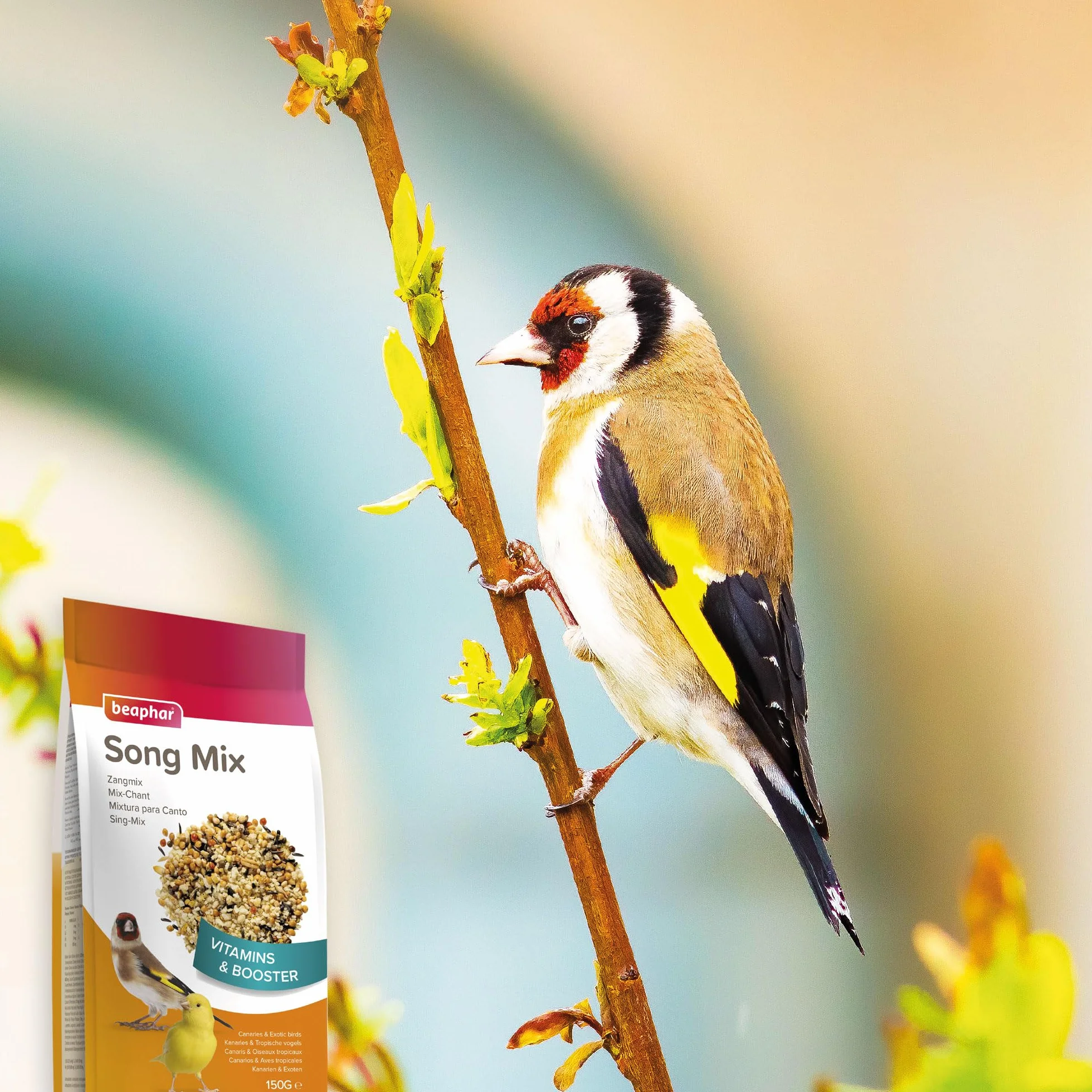 BEAPHAR – Mix-Chant, pâtée fortifiante pour canari et Oiseau granivores – Aliment complémentaire – Contient des vitamines et des minéraux – Idéal pour stimuler Le Chant – pour Une Bonne santé – 150g