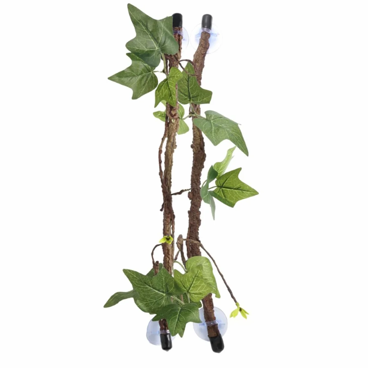 Sarini 2 pièces décorations de Plantes de Terrarium Branche Vigne Reptile Ventouse Escalade Serpent Lézard