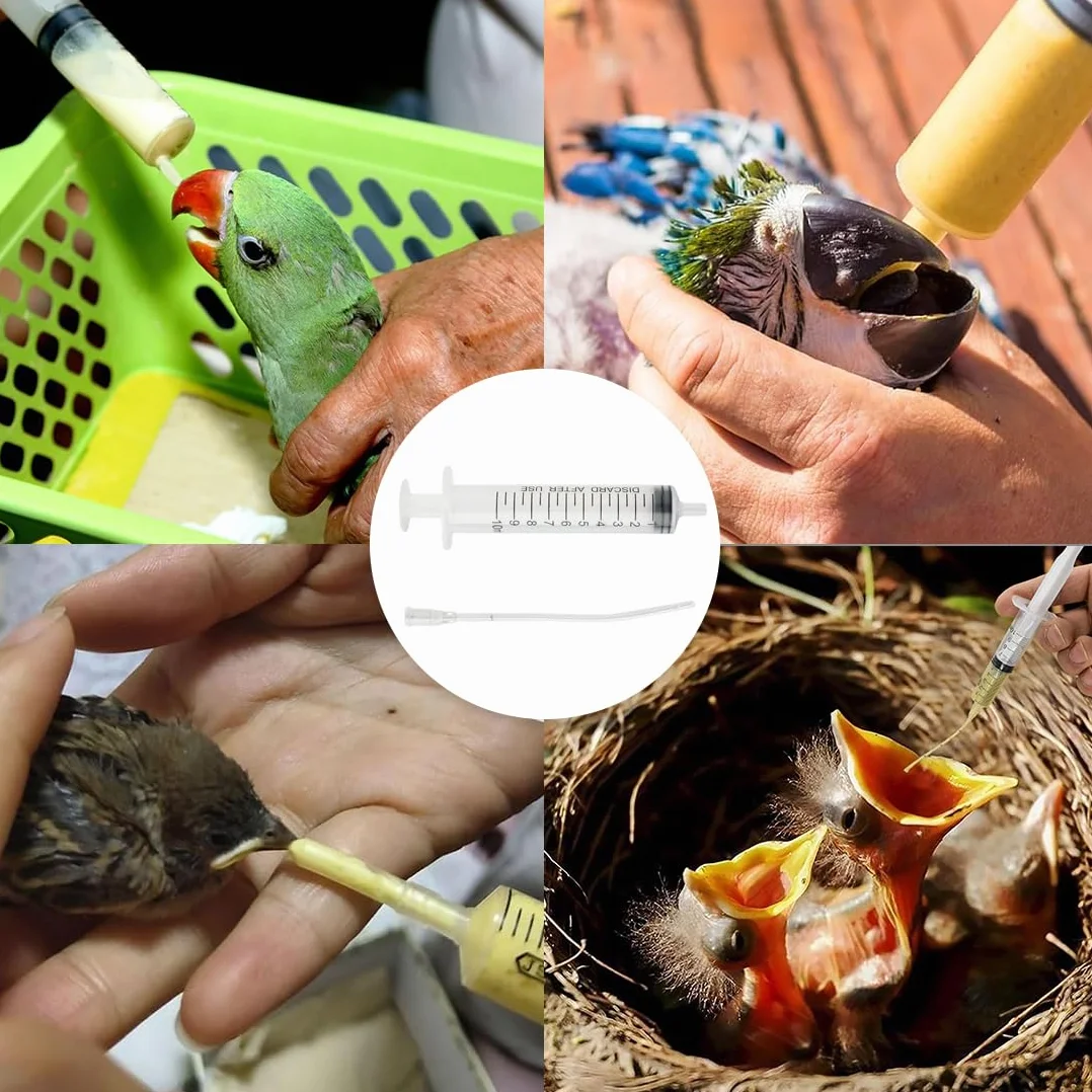 Seringue 10ml pour Nourrissage Bébé Oiseaux Perroquets, Tubes Souples Alimentation avec 10 Cathéters