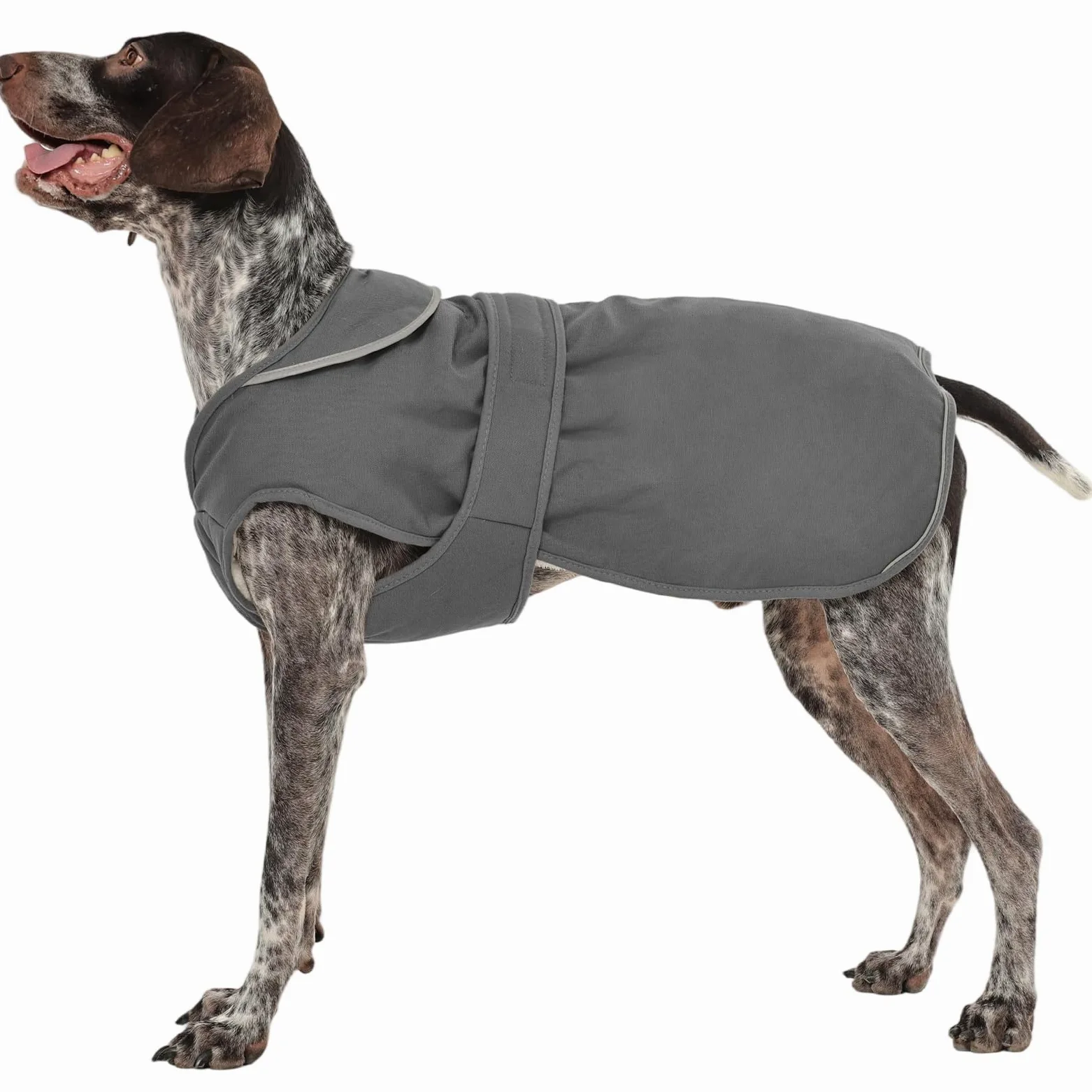 Kuoser Manteau d'hiver pour chien, veste polaire réfléchissante, imperméable et coupe-vent, XS-3XL
