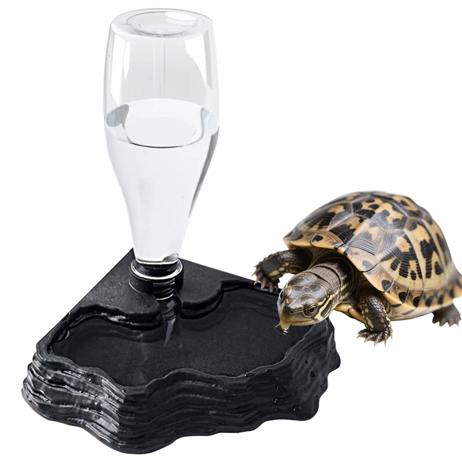 Abreuvoir Tortue Terrestre Distributeur d'Eau Portable avec Plat Anti-Débordement Plastique