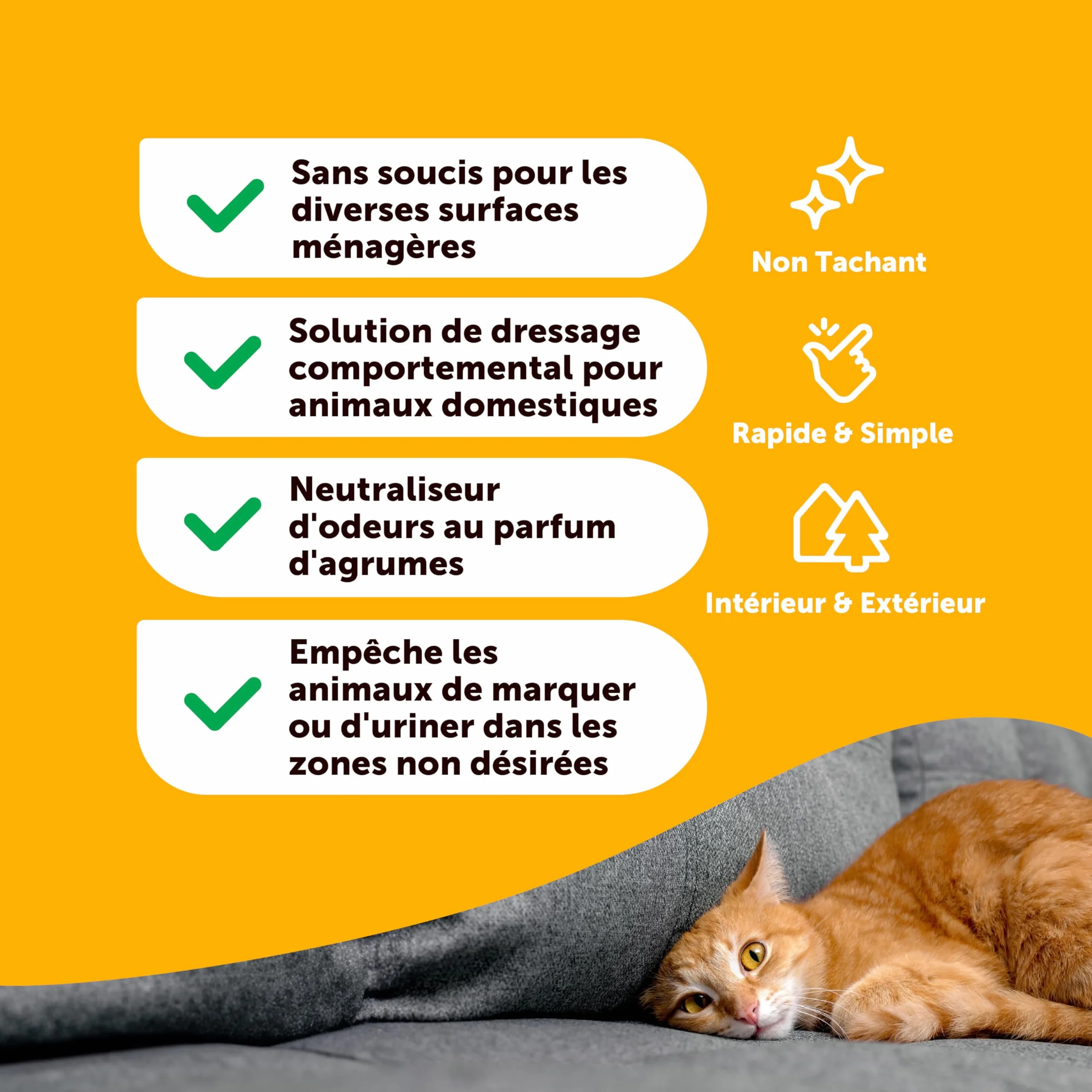 Petsly Anti Marquage Urinaire Chat Chien 500ml Non Tachant Triple Action Répulsif Intérieur Extérieur