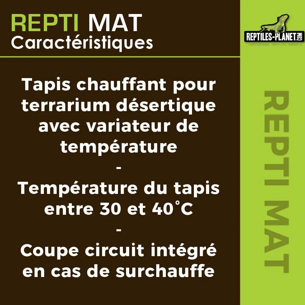 Reptiles Planet Repti Mat Tapis Chauffant pour Terrarium 5 W 14 x 15 cm