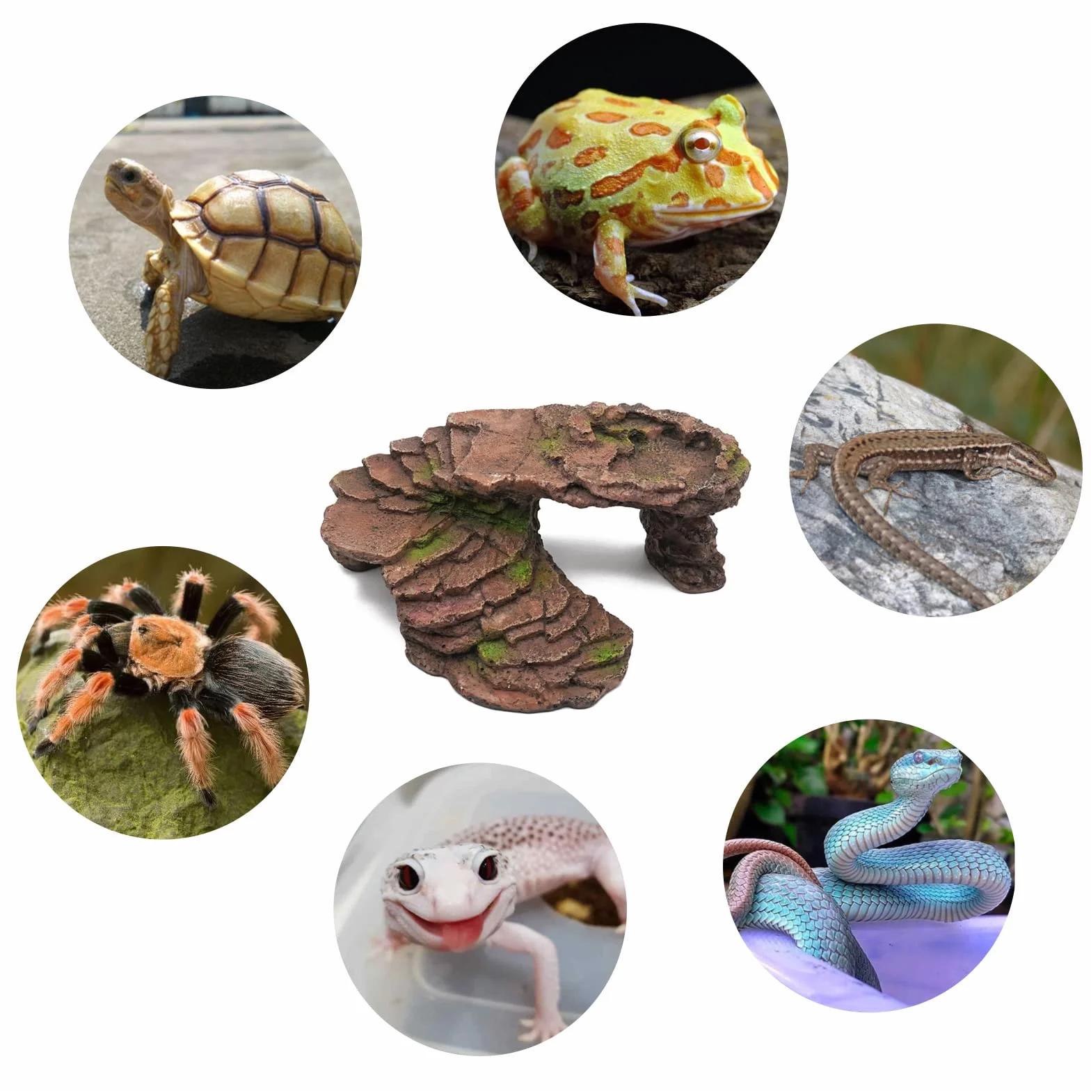 Cachette Reptile Plateforme Tortue Terrasse Cave Salamandre Gecko Leopard Cache Reptile Cave Dragon Barbu Sanctuaire Habitat Terrarium Decoration