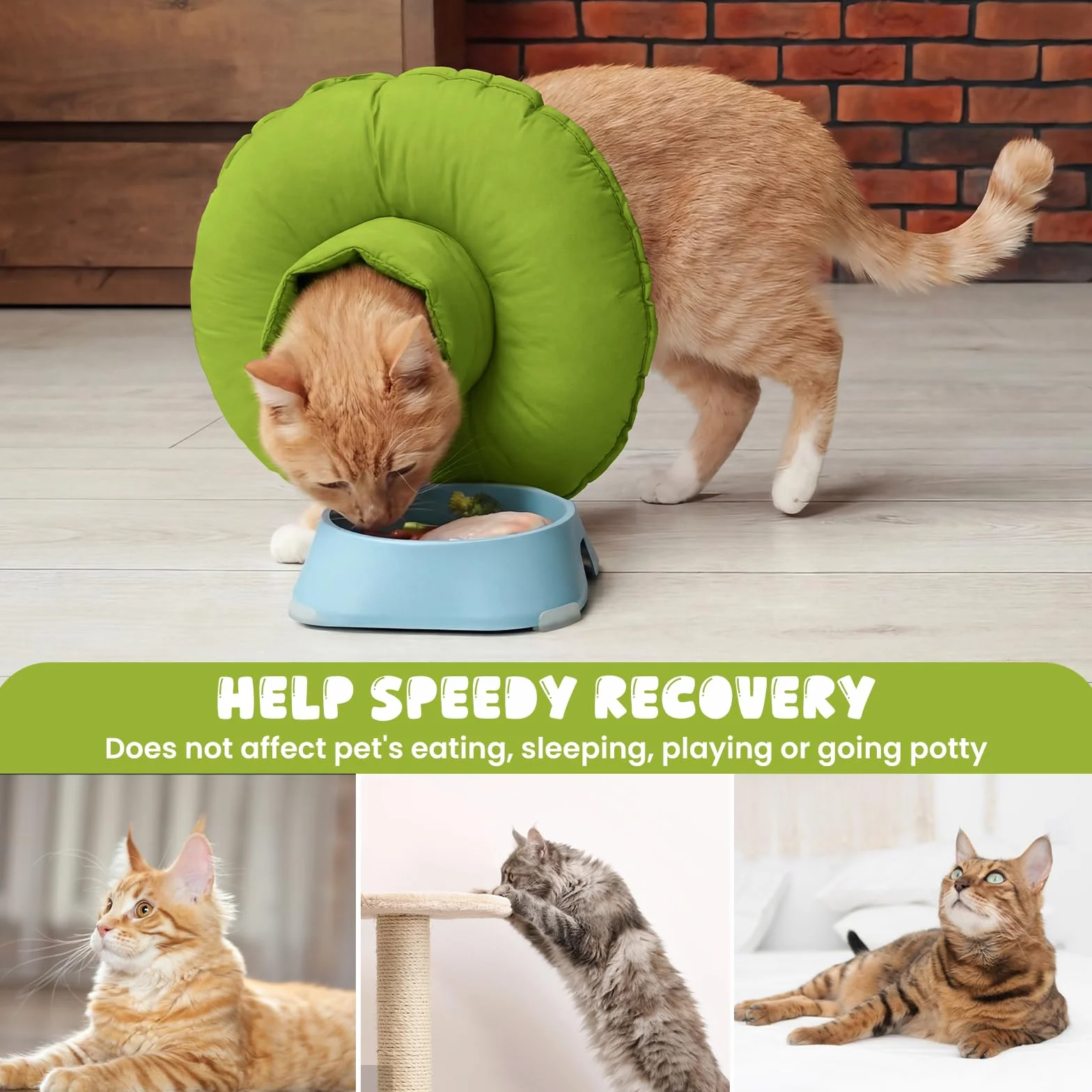 Élisabeth Collier Cône de Récupération Anti Lechage Anti Grattage pour Chat Donuts Vert M