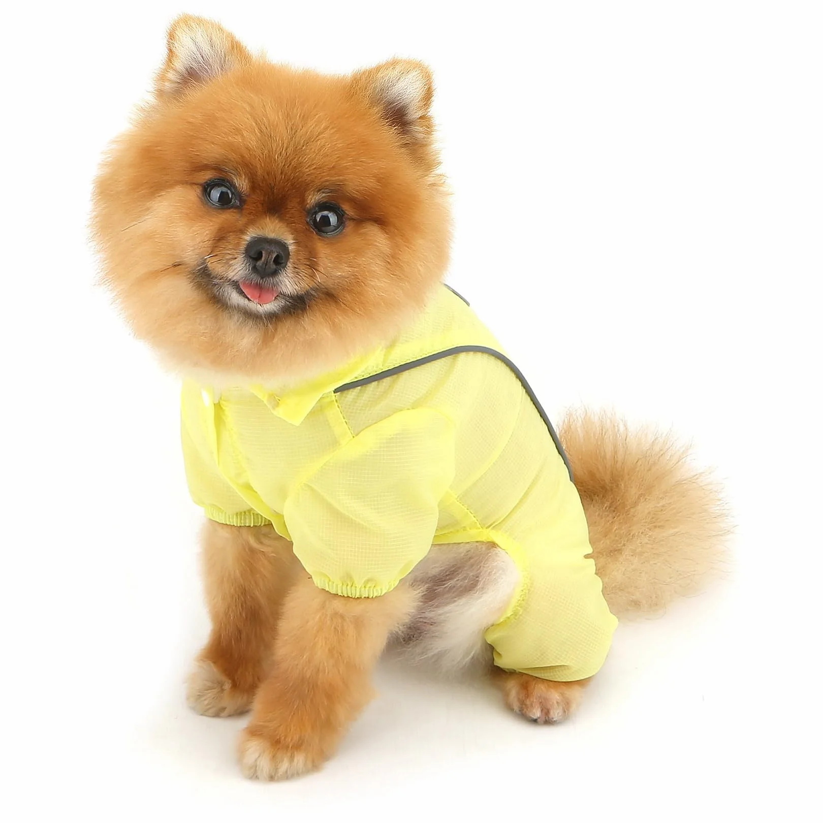 PAIDEFIL Combinaison été chien petite taille vêtement protection solaire respirant rafraîchissant bouton jaune M