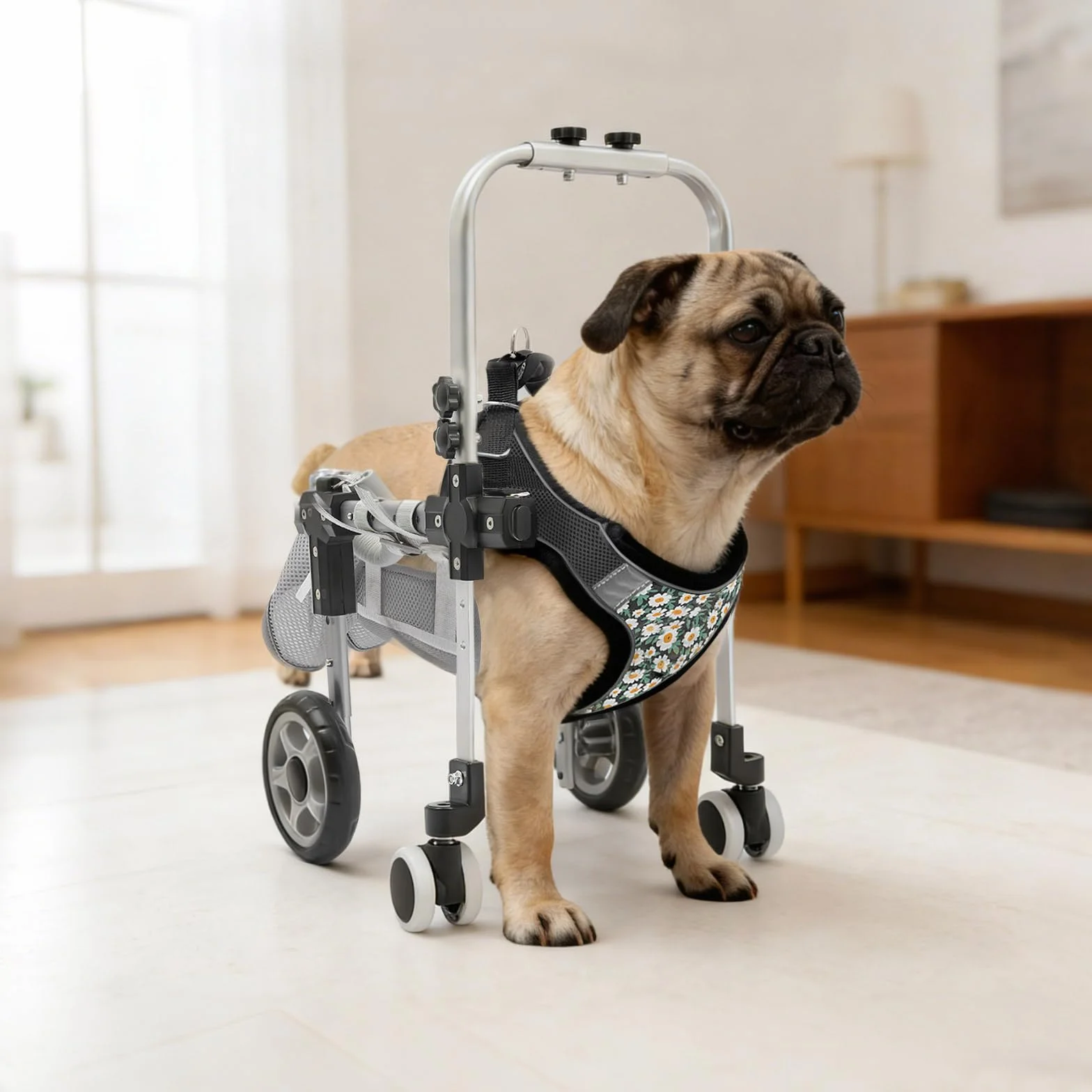 Fauteuil Roulant pour Chien avec roues amortissantes en EVA et repose-pieds rembourrés,Chariots pour Chien en aluminium vec anneau en D pour laisse,largeur/hauteur/longueur réglables,noir,S