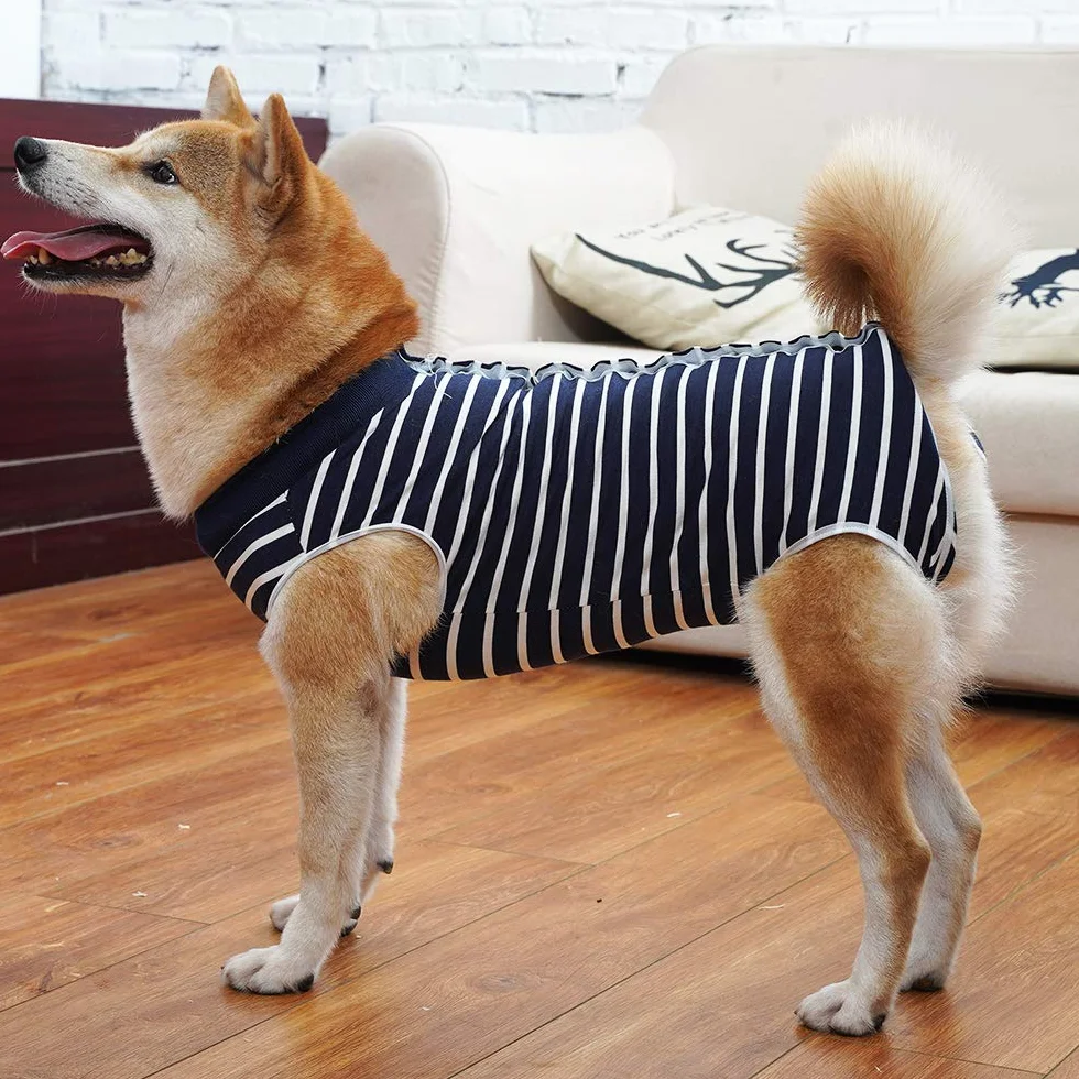 LIANZIMAU Combinaison de Récupération Chirurgicale pour Chien Anti-lécher Costume Protecteur Blessures Abdominales