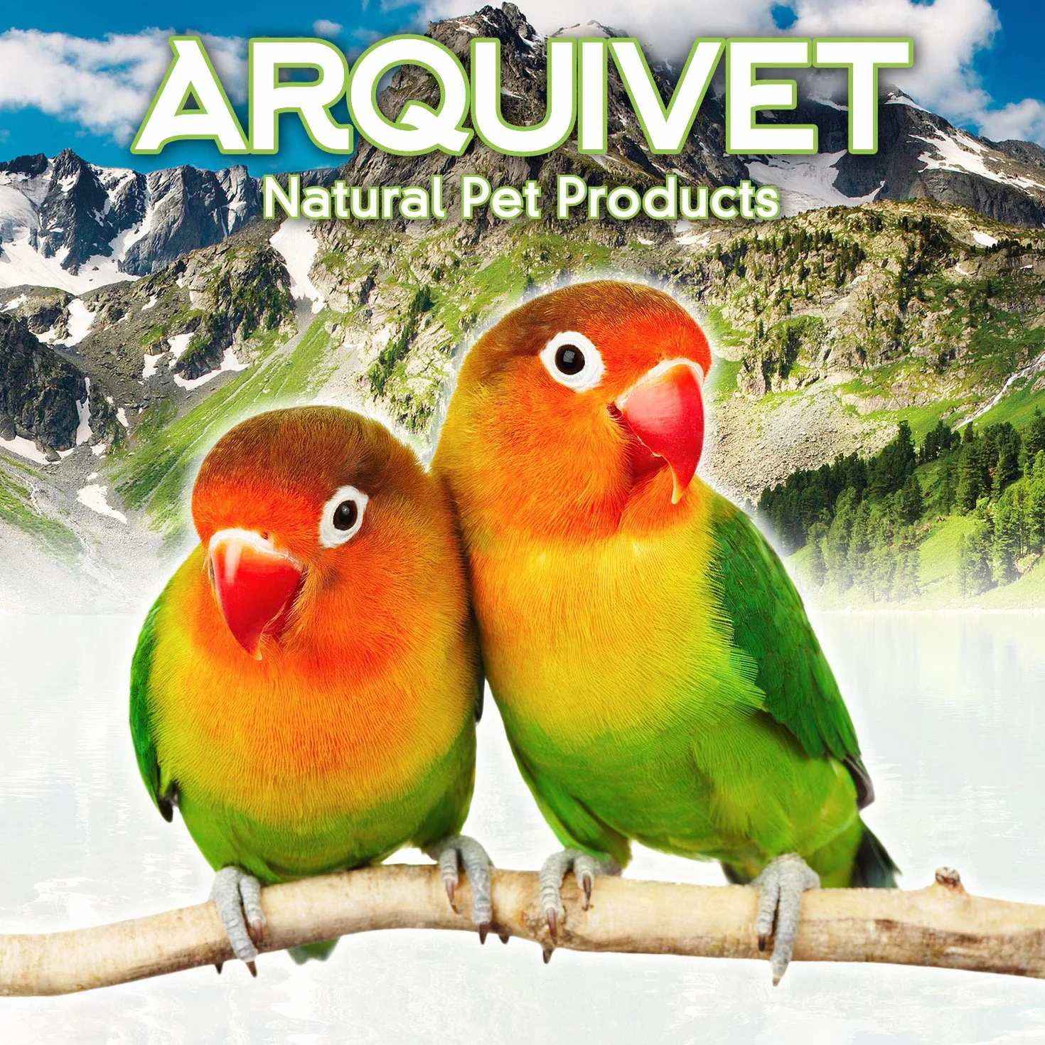 Gamelle en acier inoxydable pour perroquets 150 ml ARQUIVET