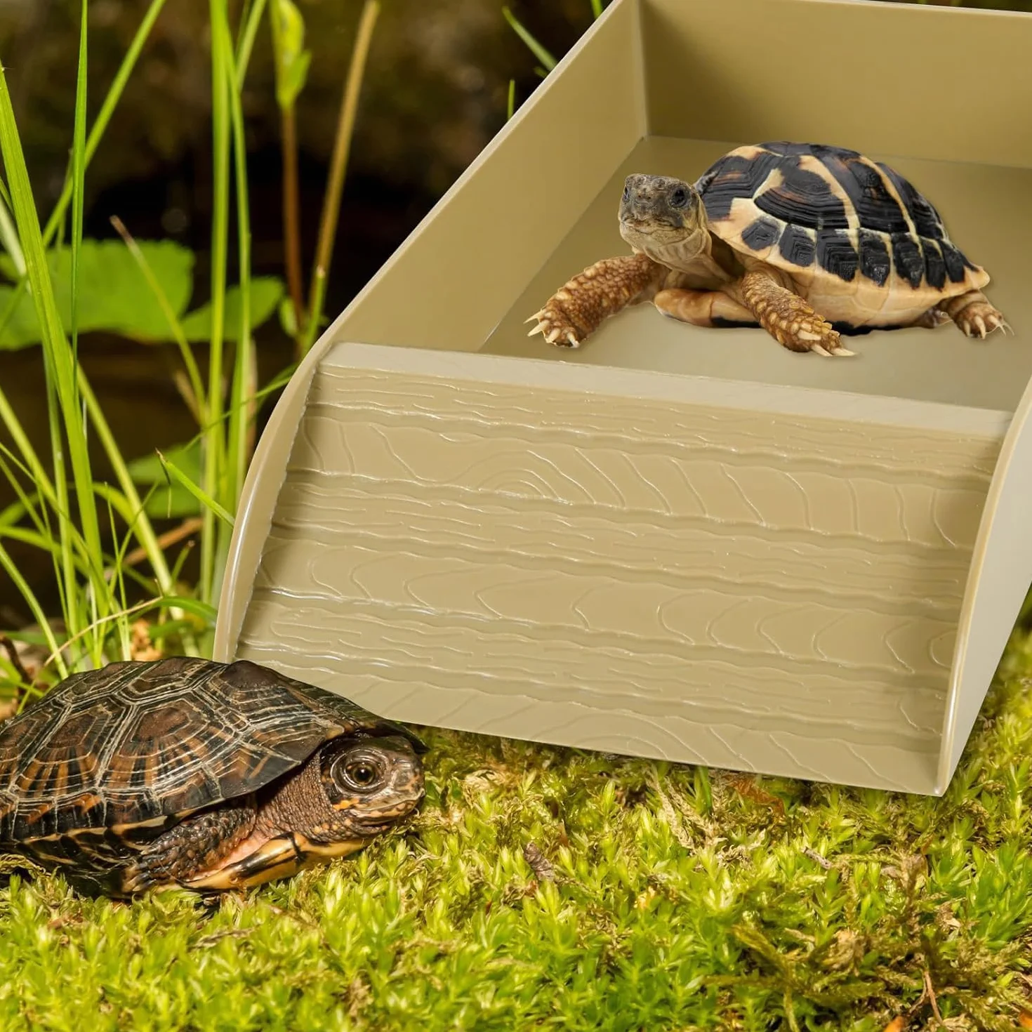Abreuvoir Tortue Terrestre Bac à Eau avec Rampe Accessoire Aquarium Reptile