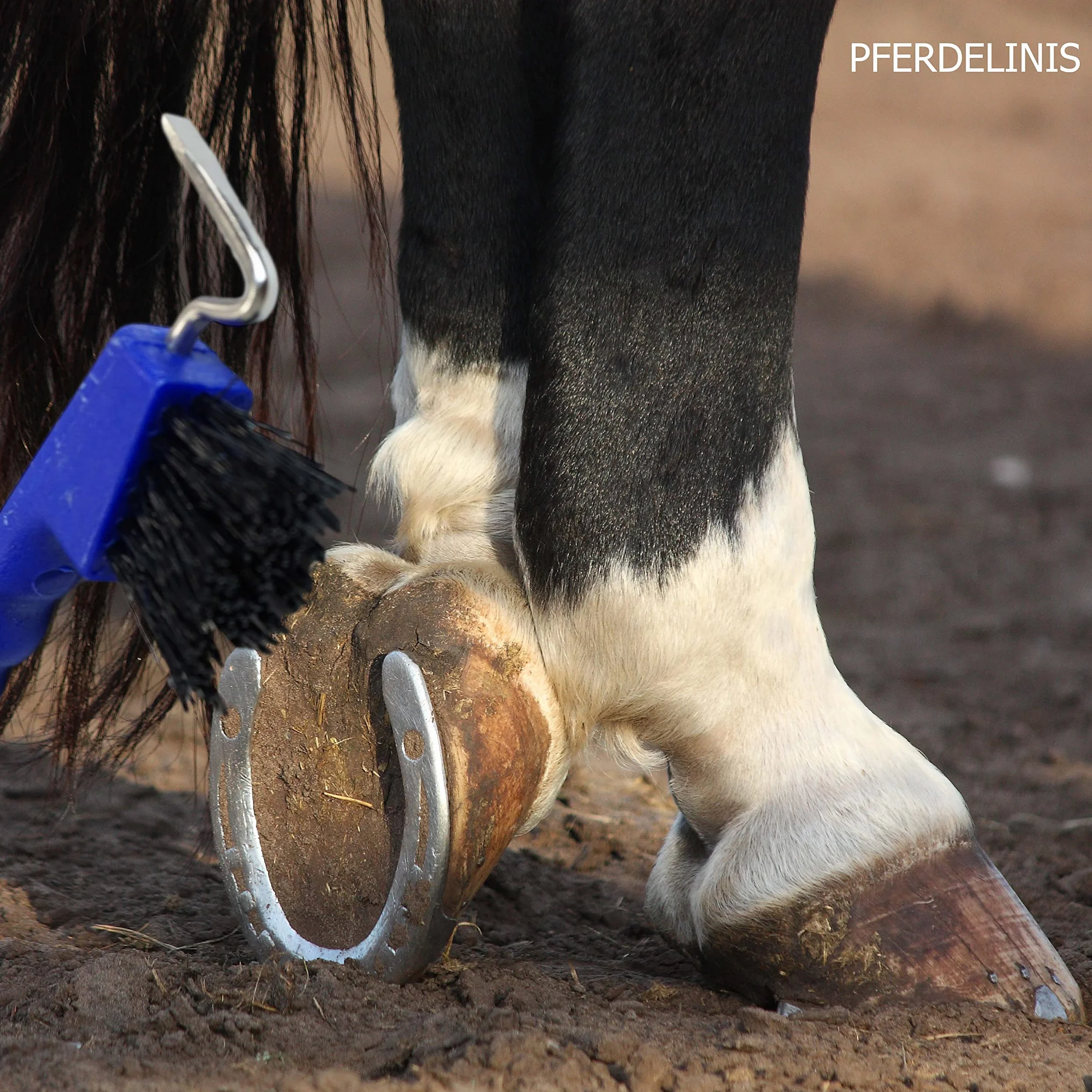 Cure-pied avec brosse pour sabots chevaux ânes chèvres ergonomique solide