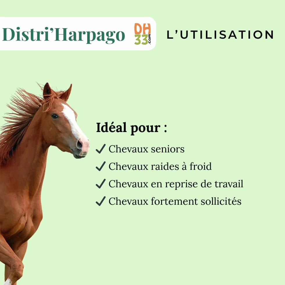 Harpago Cheval Confort Articulaire Arthrose 500 g