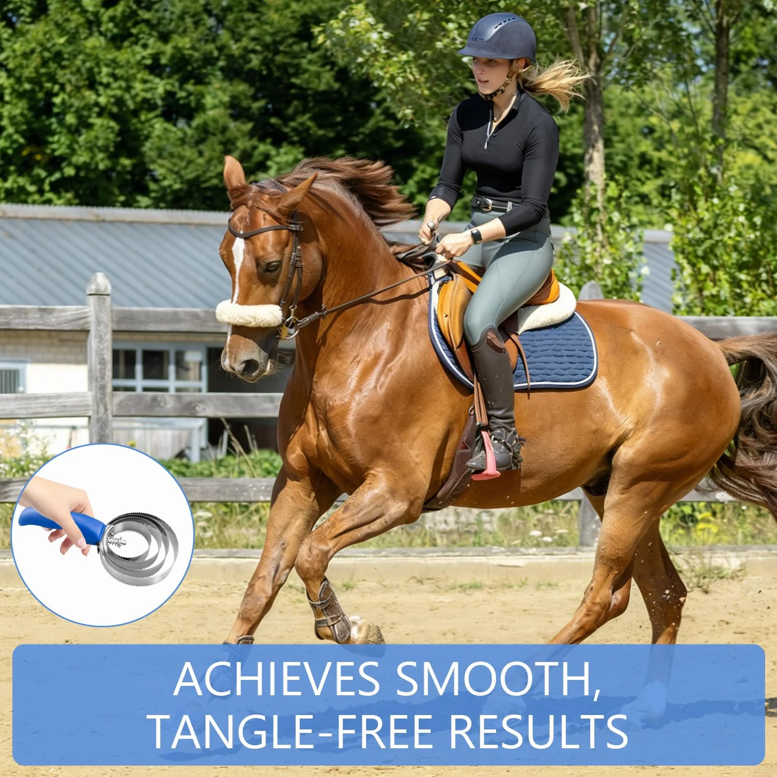Brosse Double Face pour Cheval Etrille Peigne Curry Démangeaisons Changement Pelage