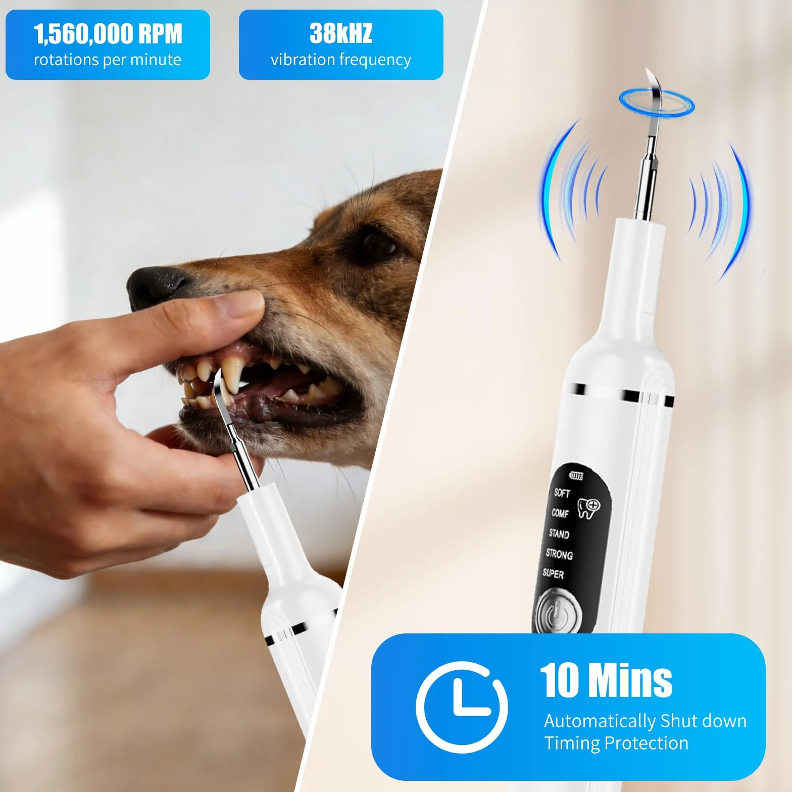 Kit de Nettoyage Tartre Dentaire à Ultrasons pour Chien et Chat, Detartreur Dentaire Ultrason, 5 Modes et 4 Têtes