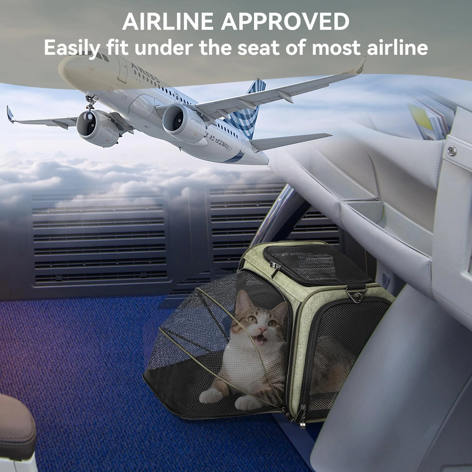 Petsfit Sac de transport extensible pour chat et chien approuvé par les compagnies aériennes avec tapis en peluche amovible
