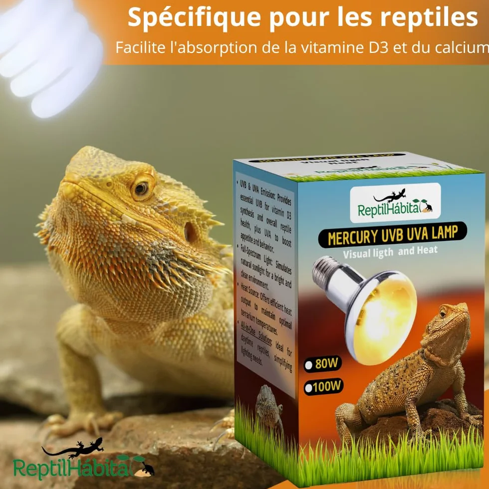 Lampe UVB UVA avec Chaleur pour Reptiles 80W – Lampe à Vapeur de Mercure Tout-en-Un pour Terrariums