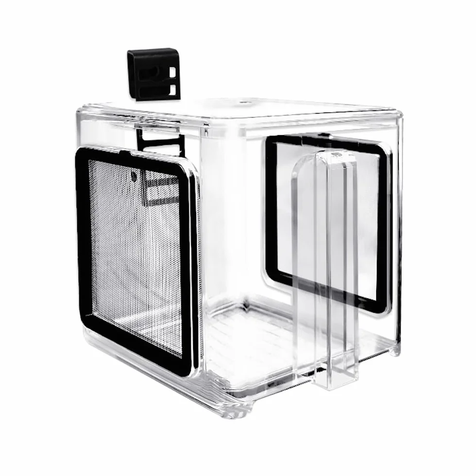 Boîte d'élevage de Poissons de mer en Acrylique Transparent, réservoir d'aquarium Amovible pour bébés Poissons