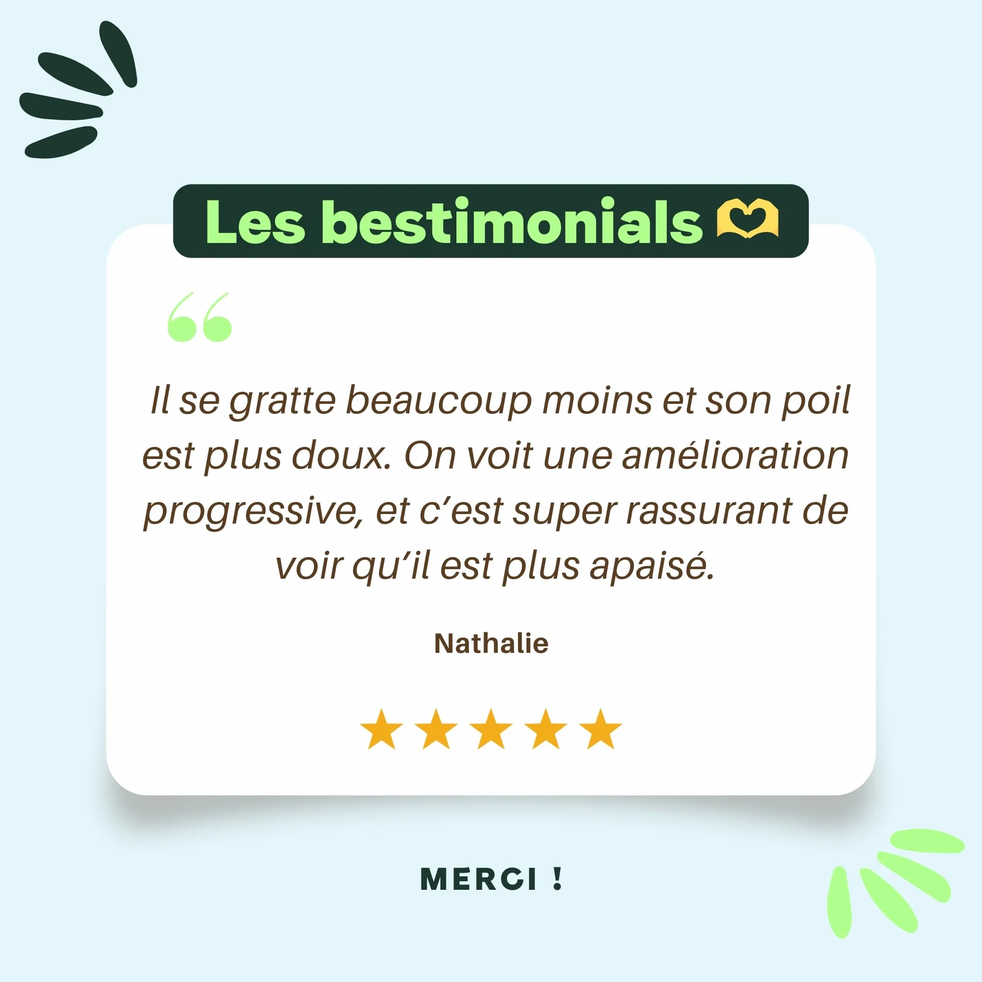 BESTI Compléments Alimentaires Premium pour Chiens Démangeaisons Omega 3 Probiotiques Saumon 300g