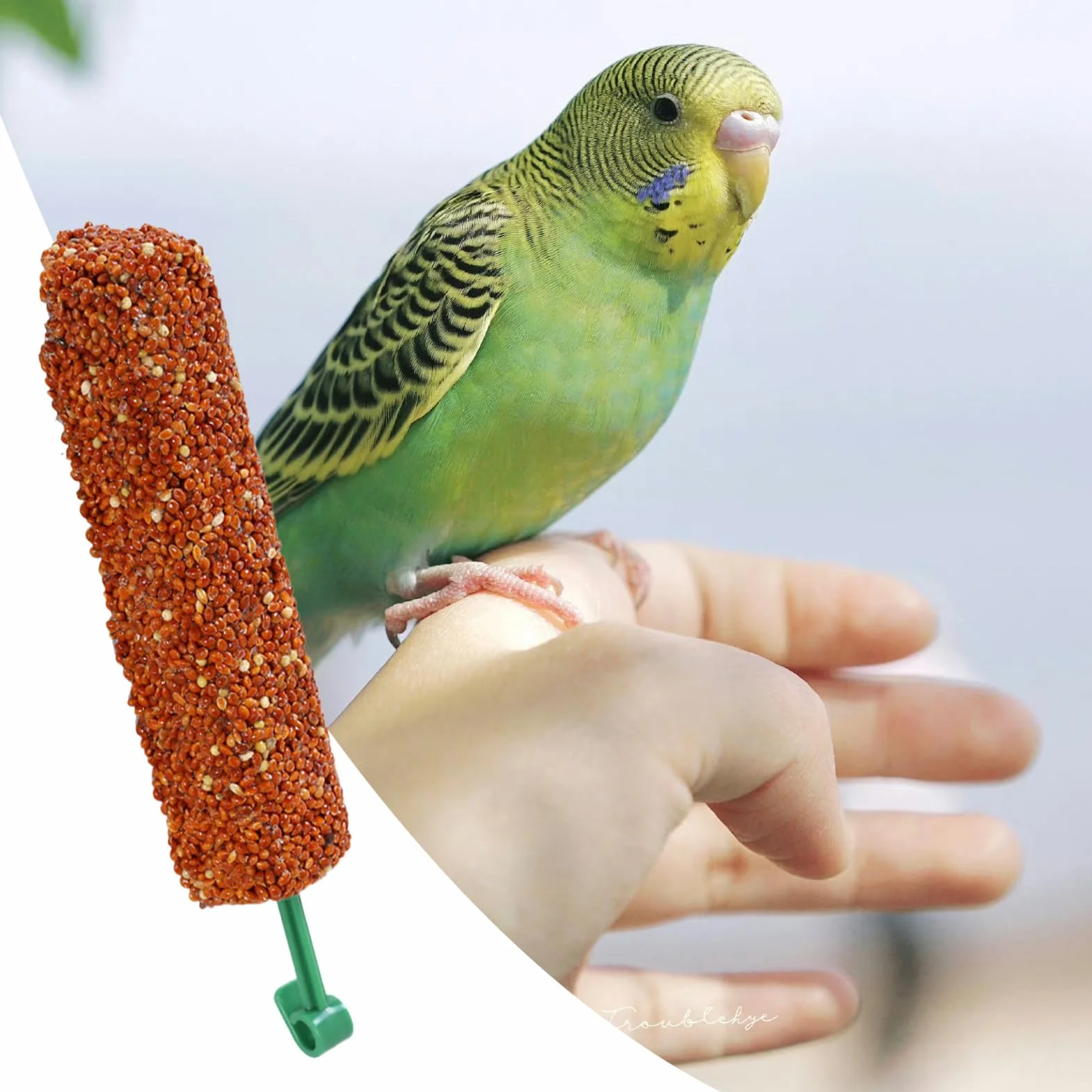 Friandises pour Calopsittes 2 Bâtonnets Récompenses Éducatives pour Perroquets