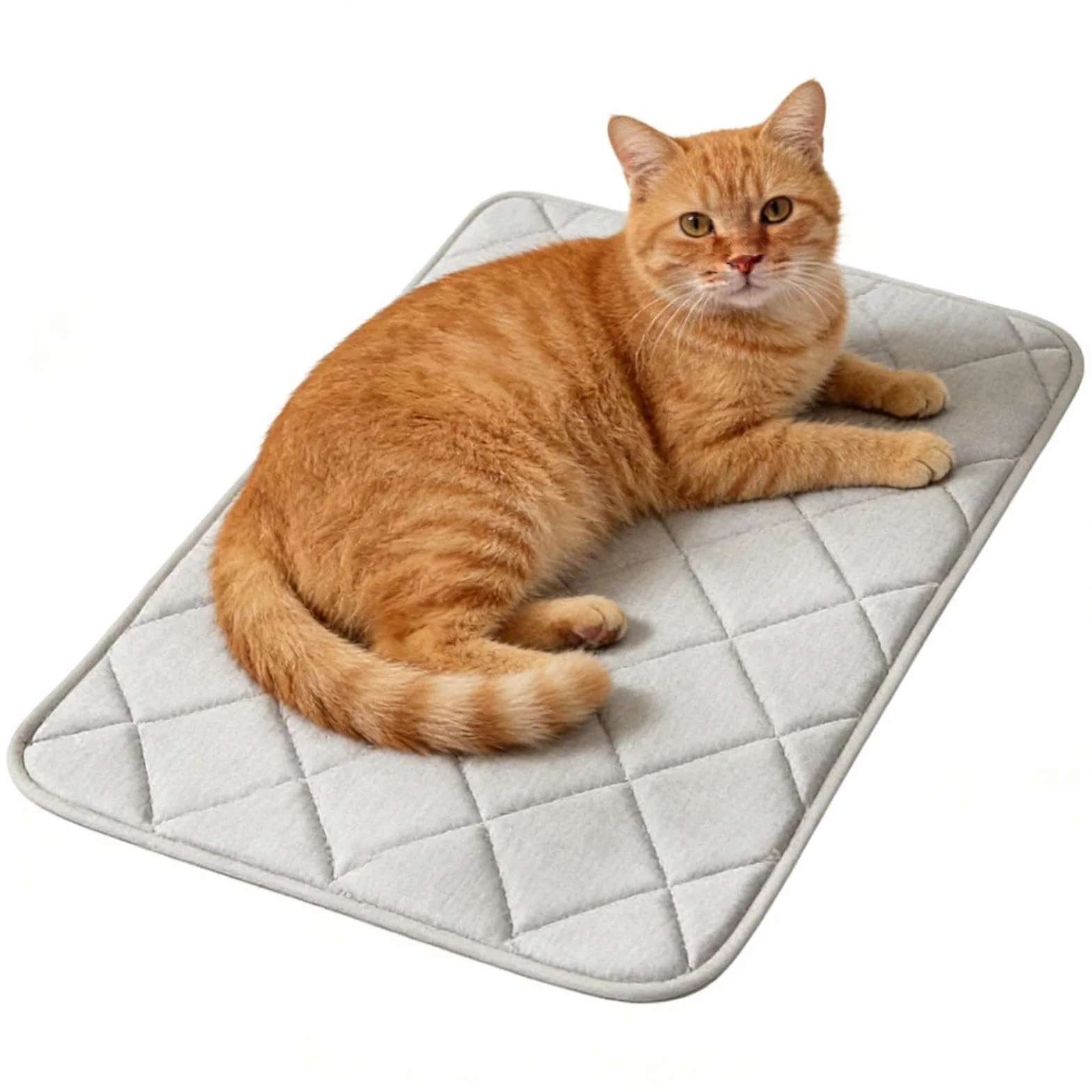 Tapis Rafraîchissant pour Chien 35x50 cm Housse en Soie Glacée pour Caisse
