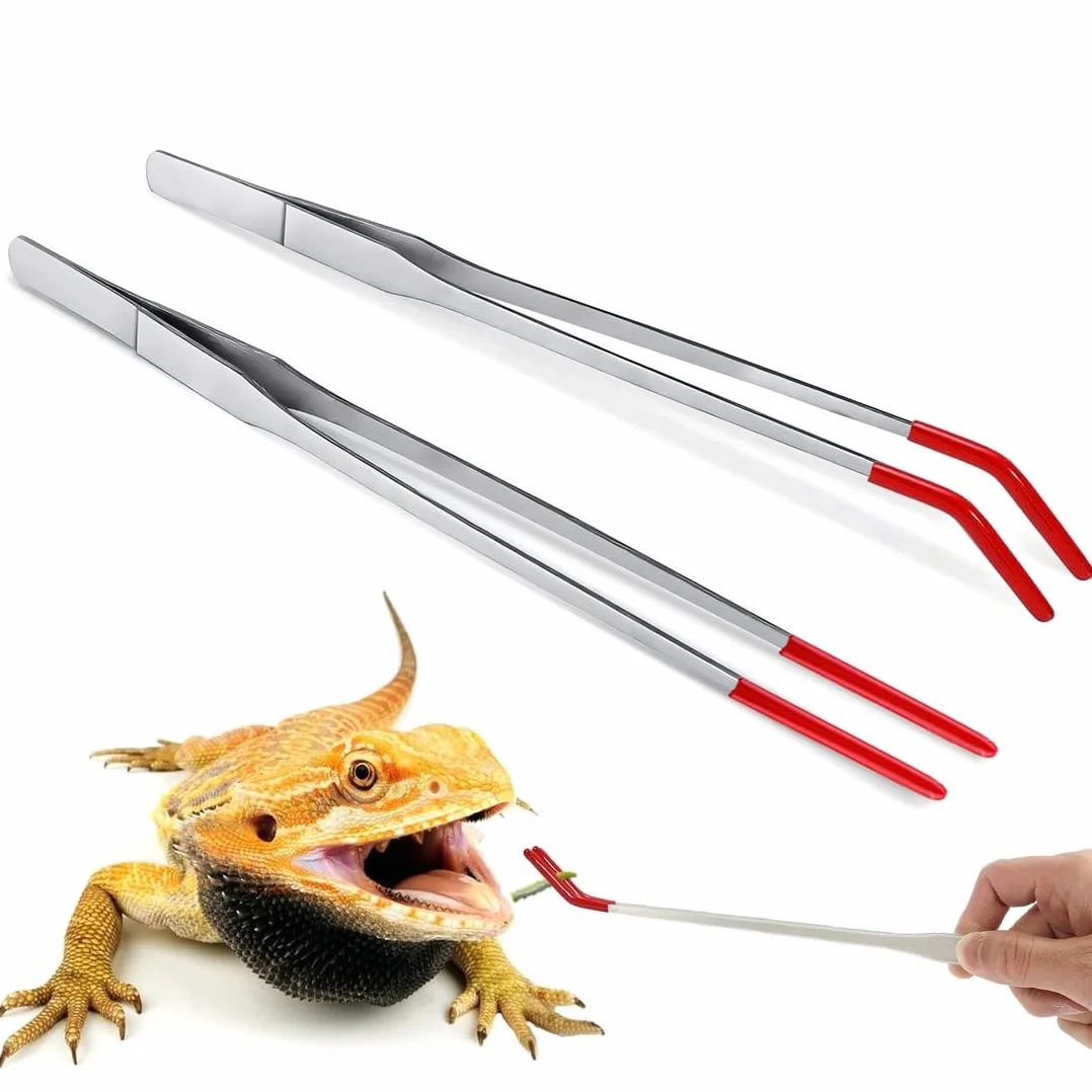 Pinces À Épiler En Acier Inoxydable 27 CM Incurvées Droites Pour Aquarium Terrarium