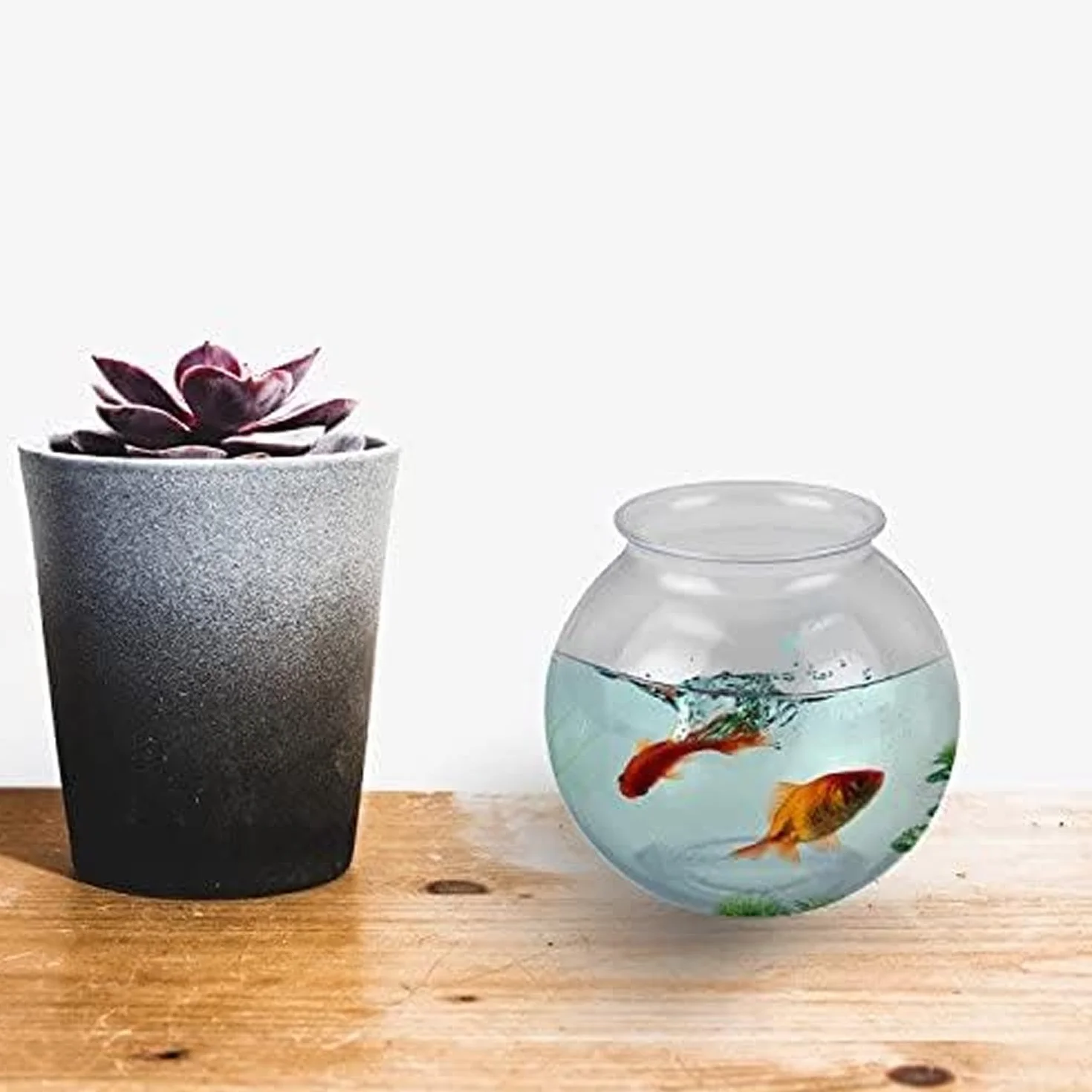 JoyServe Bol à poissons en plastique 16 oz 10,2 cm lot de 12 sans BPA