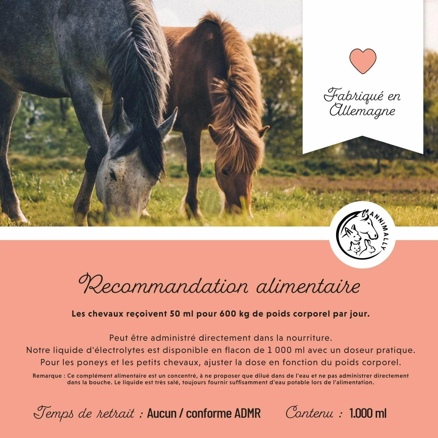 Annimally Électrolytes Liquides pour Chevaux 1000ml Sodium Potassium Acerola Calcium Magnésium Vitamine B sans Sucre