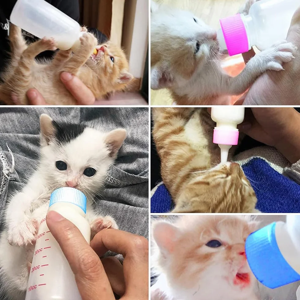 Biberon d'élevage pour chat 60 ml avec brosse de nettoyage