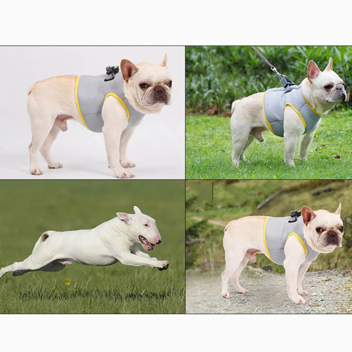 Toddmomy Gilet Refroidissant pour Chien Veste Respirante pour Animaux De Compagnie Modèle XL avec Ceinture Ajustable Et Conception Rafraîchissante