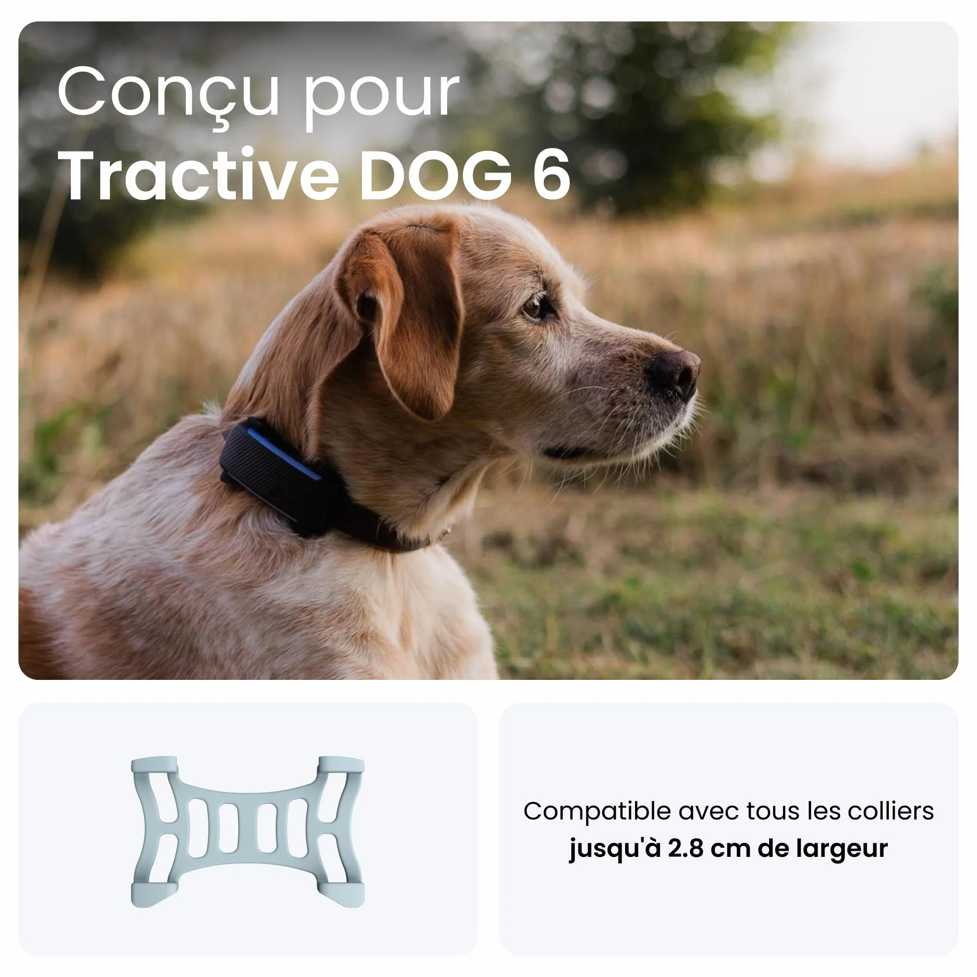 Tractive 2 Attaches en Caoutchouc pour Traceur GPS Chien Dog 6 Menthe