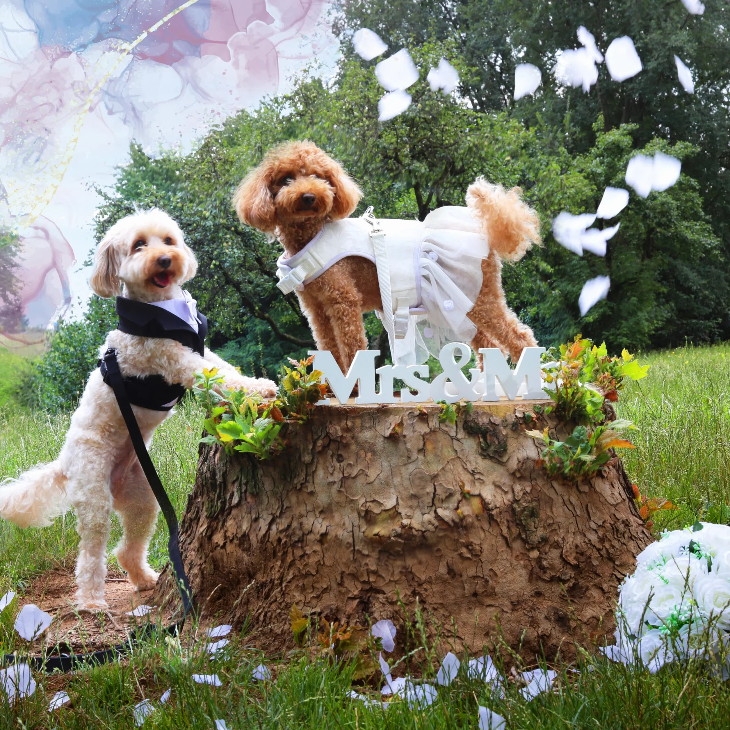 Croci Ceremony Bride Harnais Chien Mariage Robe Tulle Fantaisie damassée réglable M 41-45 cm