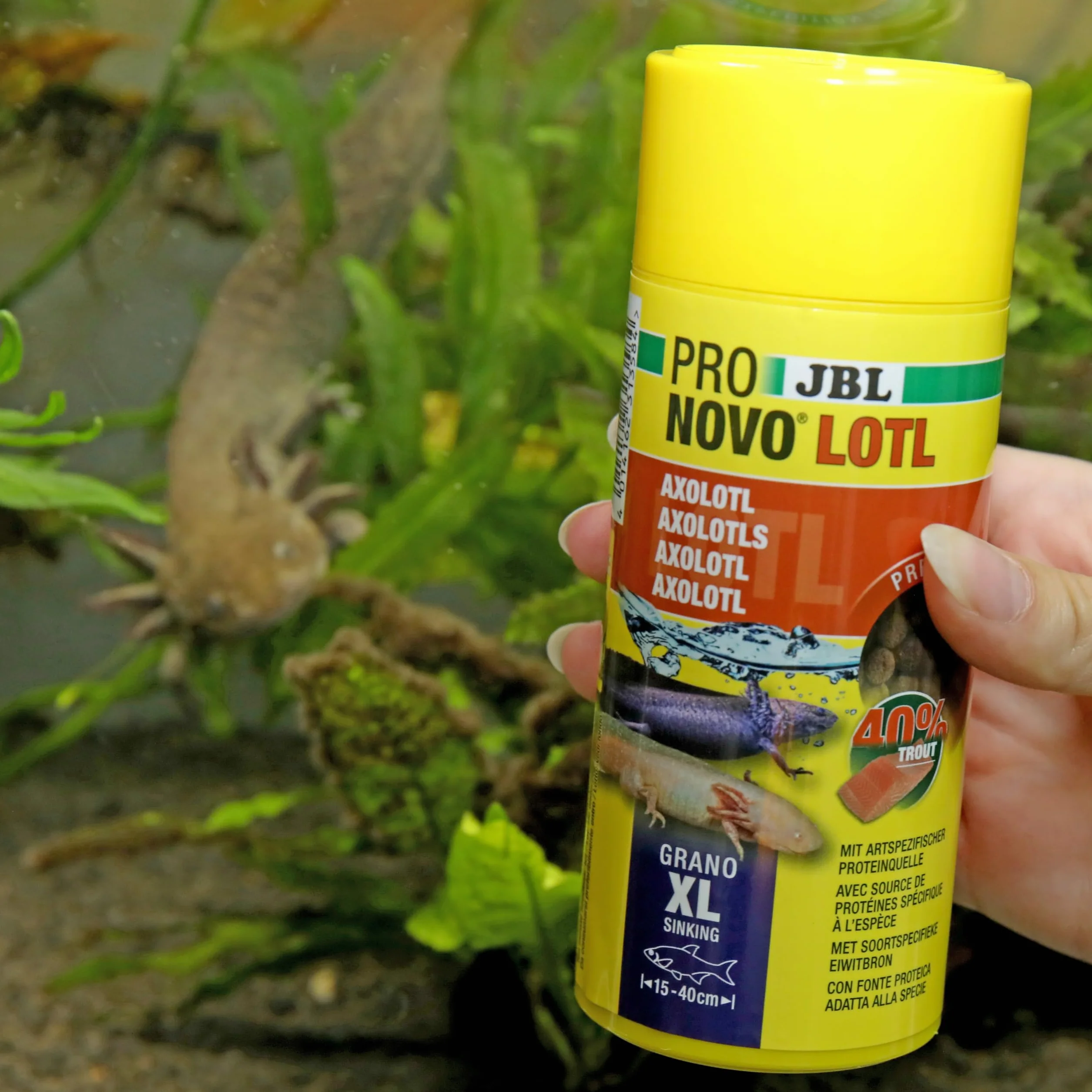 JBL PRONOVO LOTL GRANO XL 250ml