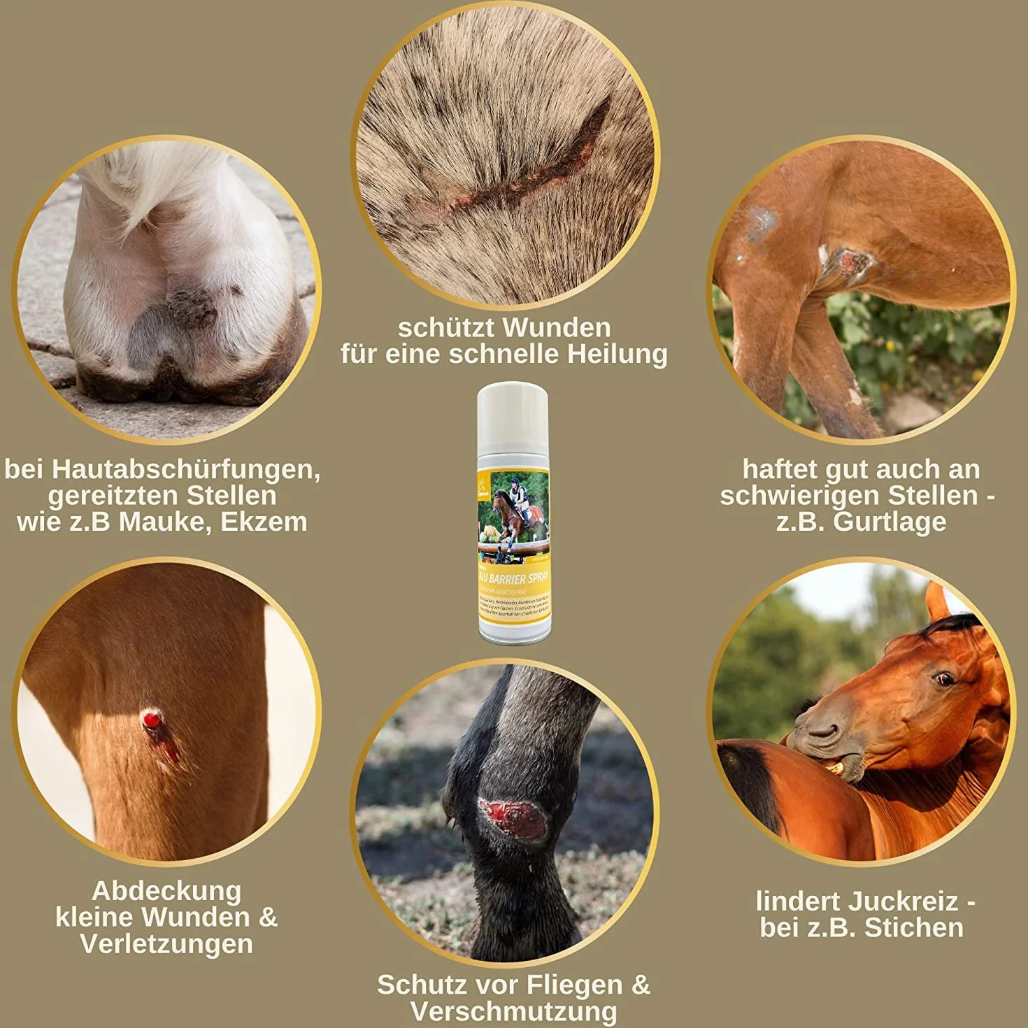 Spray argenté pour animaux Spray de protection des plaies cheval chien vache 2 x 200 ml