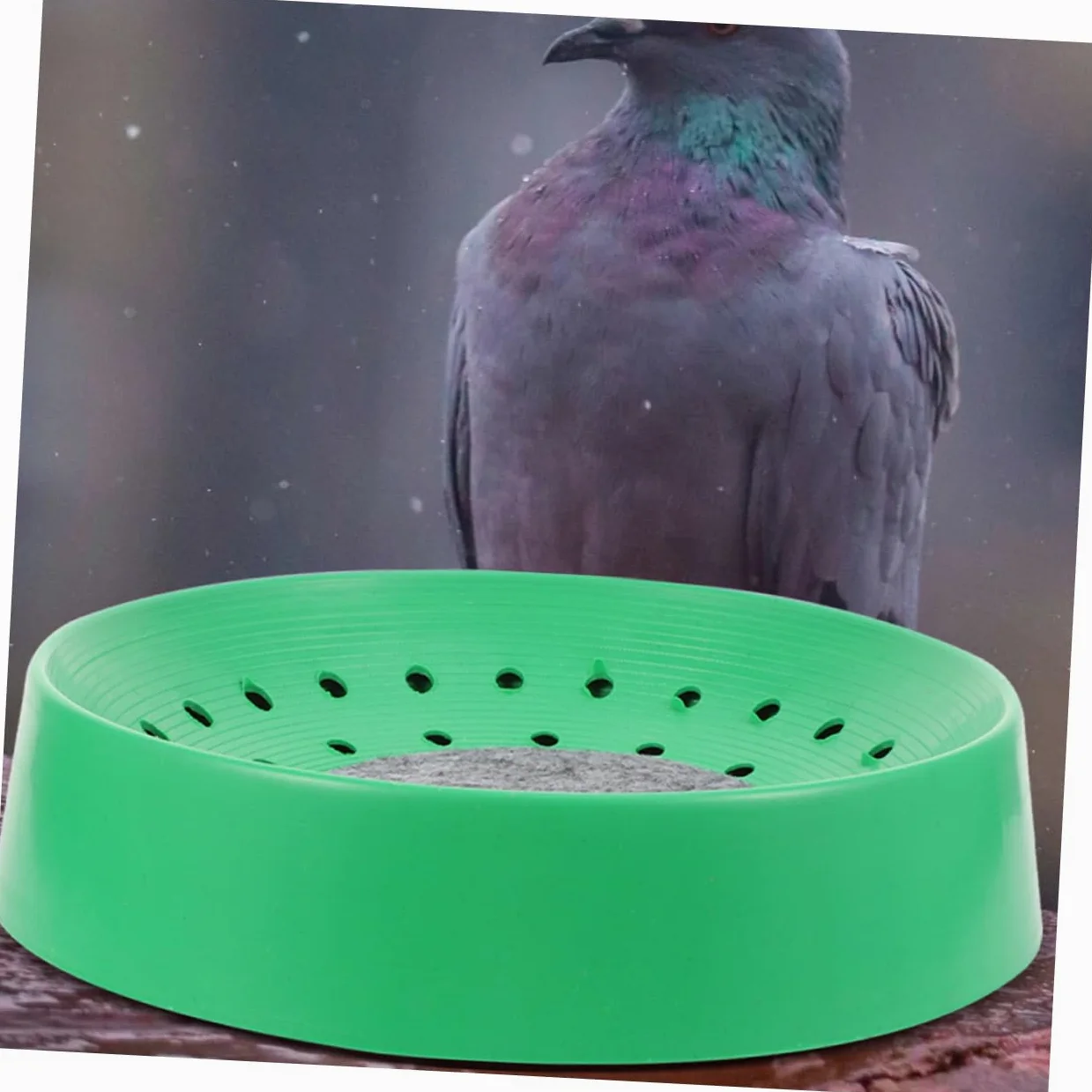 WOONEKY Lot de 10 Nids de Pigeons en Plastique Solide Nids D'œufs pour Reproduction Taille Adaptée Confortable pour Élevage Domestique et Animalerie