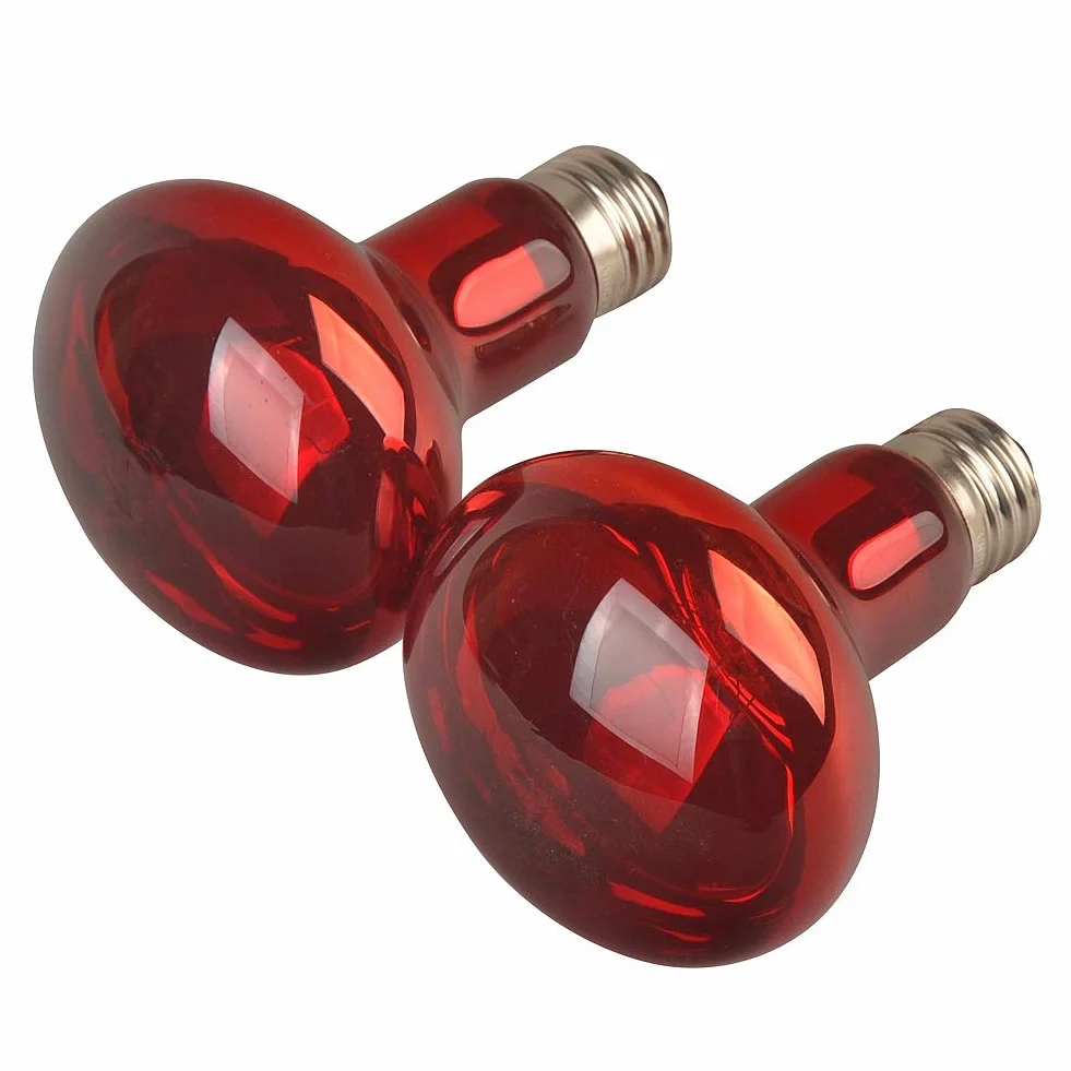 LUCKY HERP Lot de 2 ampoules chauffantes infrarouges pour reptiles E27 50 W
