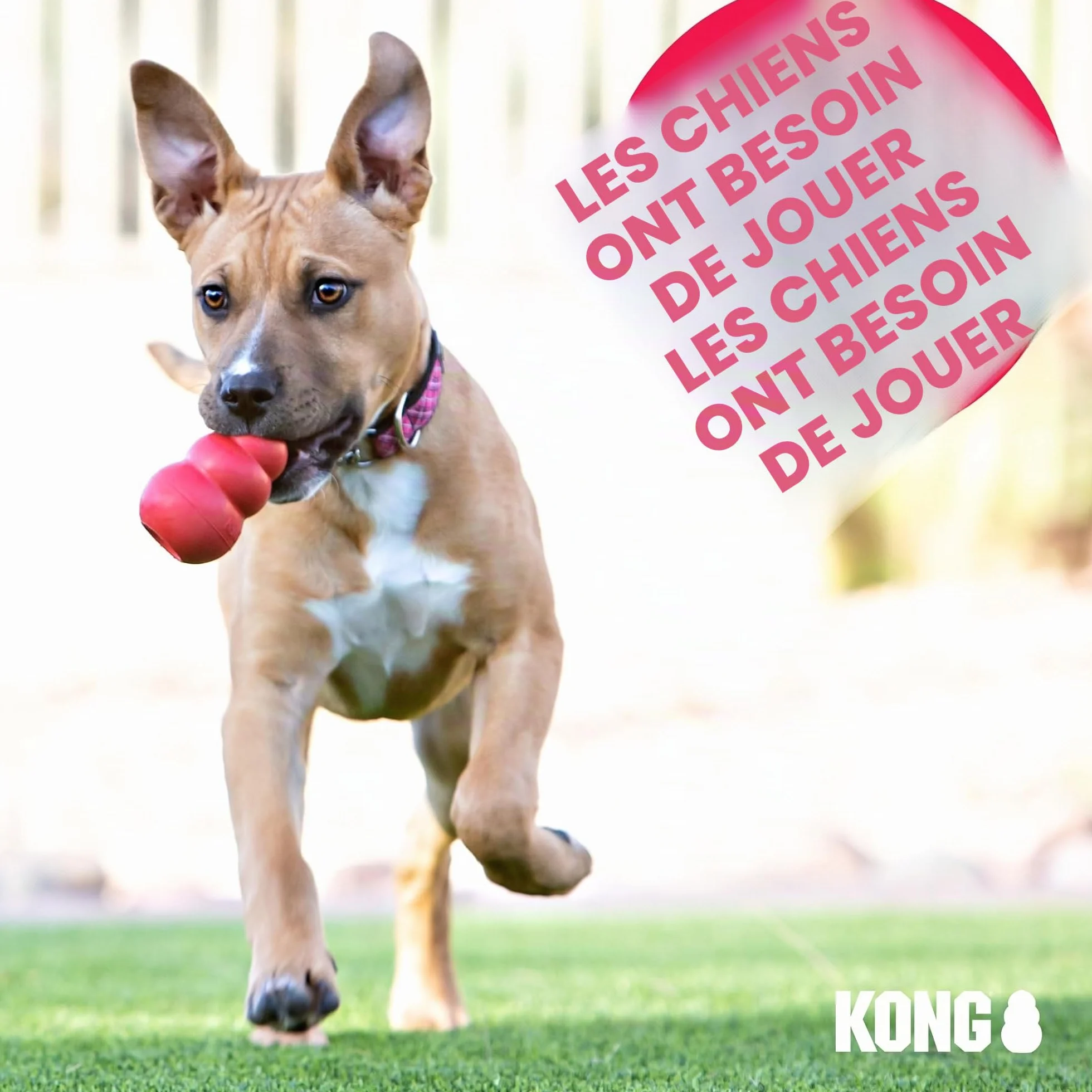 KONG Sherps Donkey Jouet pour Chien Taille M