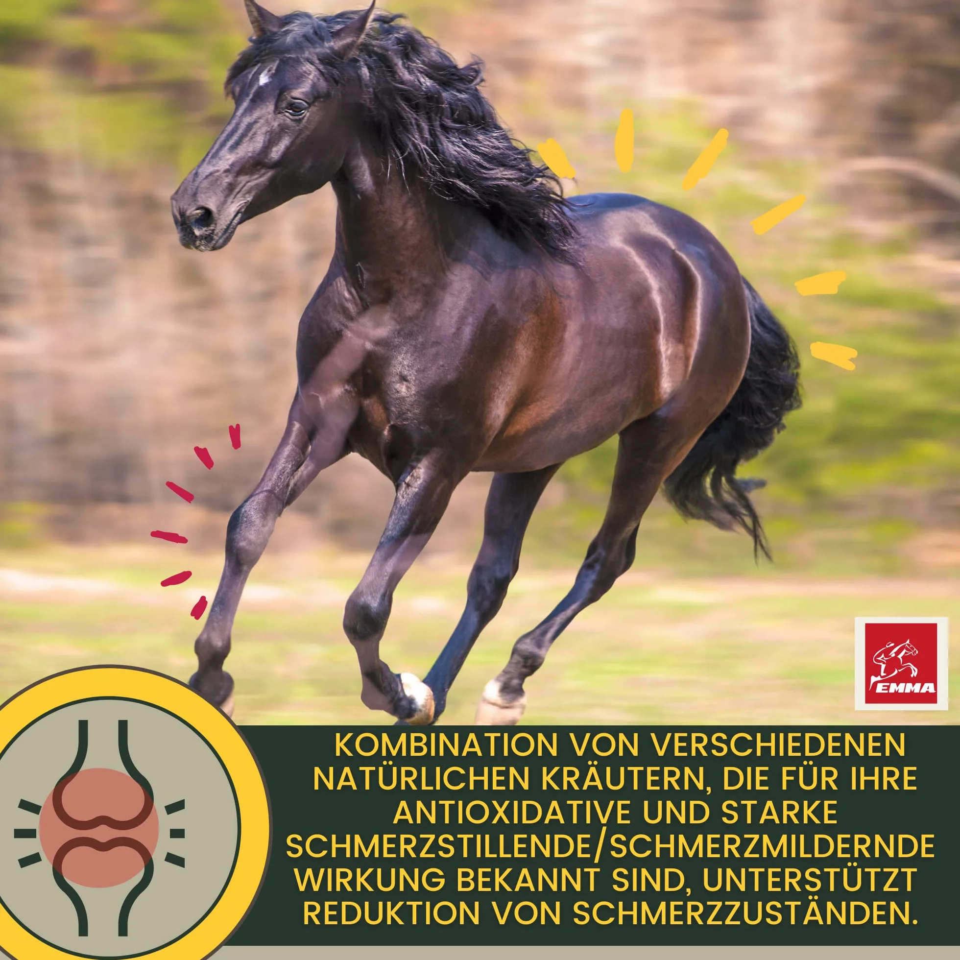 Pâte vitaminée cheval glucosamine chondroïtine haute dose appareil locomoteur articulations tendons ligaments